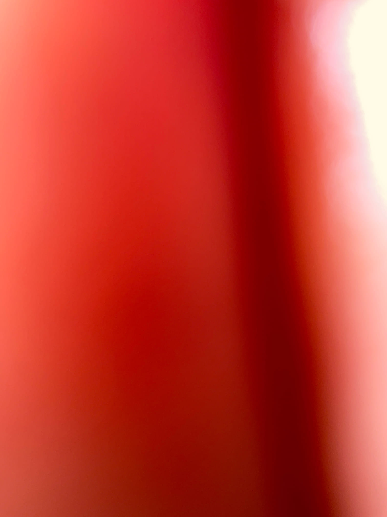 Customer got a main line backed up to rear bathroom toilet and shower , this is special skirted toilet need remove , snake and camera the line , we quoted price , customer want rent snake and Home Depot try it first . Collect dispatch fee today 