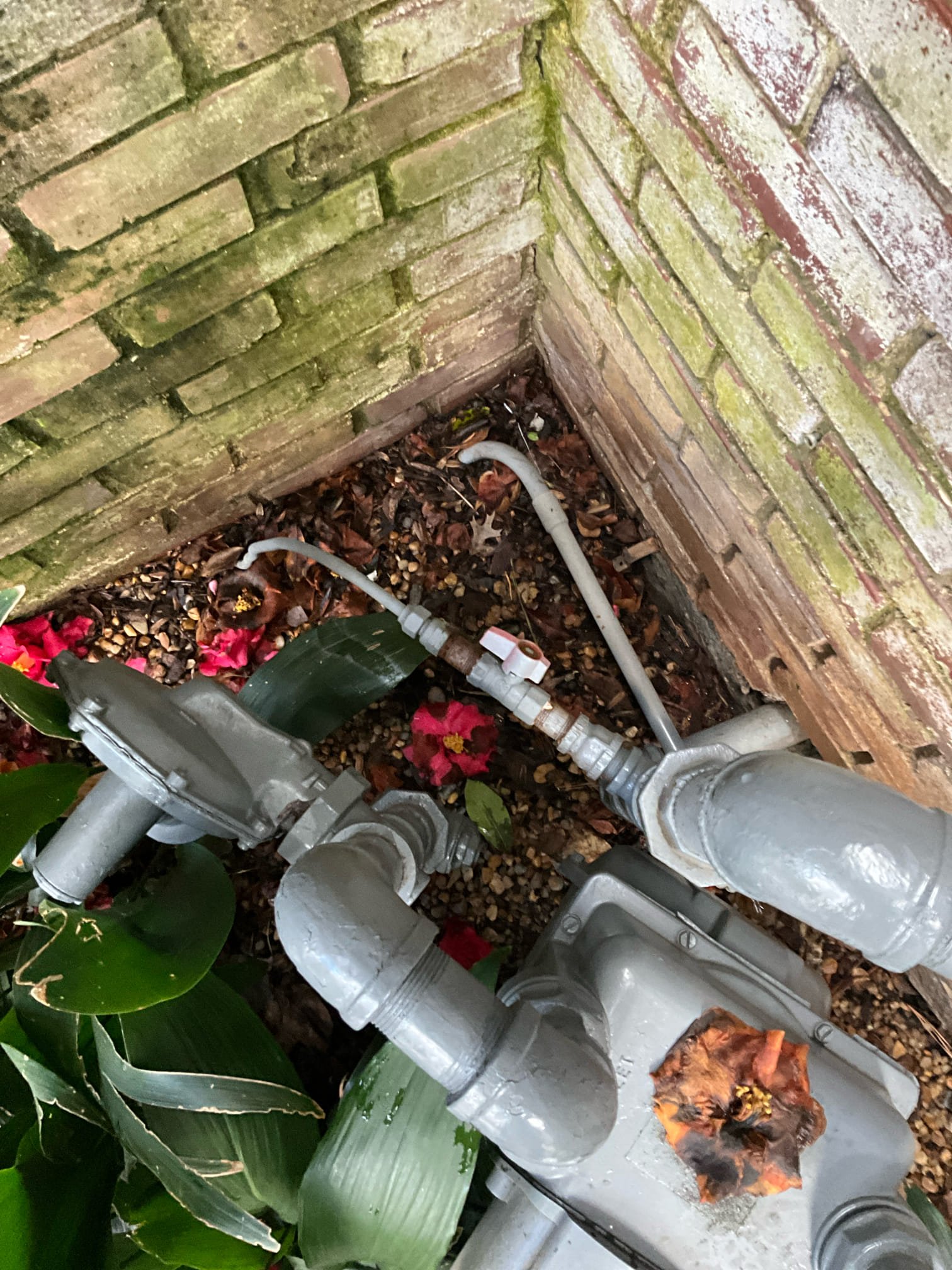 Abbreviated invoice, work done as warranty item at request of Mr. Chen. 

Call for gas appliances not functioning correctly. Performed total evaluation and resolved by capping unknown gas lines serving back garage, as this was a source of water intrusion. Kitchen stove, lamps, and gas grill all working far better now.

I found many other concerns with copper pipes, gas and plumbing. I strongly encourage joint the maintenance program and scheduling the initial inspection and evaluation soon.



Notes for plumber

38k btu WHx 2 but only one active currently.
Front lamp, two rear lamps.
Gas grill rear.
5 burner top kitchen
HVAC systemsx

Meter sufficient for volume.

Reduction from 3/4 to half twice on black iron. One in crawl, another outside. Load calc shows it’s still sufficient to deliver. 

Stove top and grill both properly converted to natural gas. Lanterns free of blockages. 

Found dead lines for fireplace on driveway side. One to patio area (maybe heated tabletop or similar?). Ba