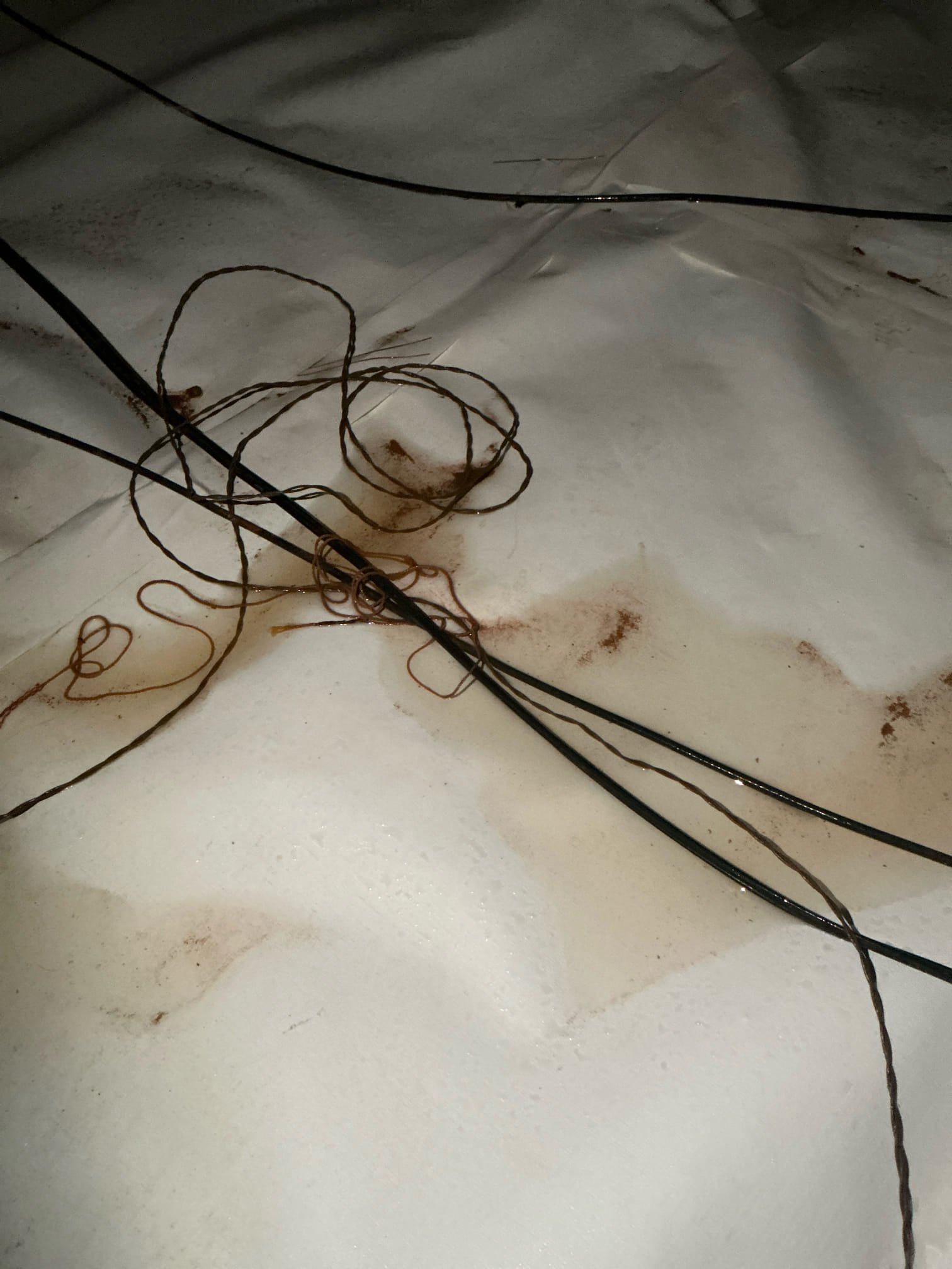 We were called out last Friday due to a clogged up drain line that had backed up inside. Opened outside cleanout to find it is OK and flowing. Went in crawlspace and instantly heard dripping. The pvc cleanout had cracked and due to the line holding water, was dripping. Line was full of paper and wipes which don’t help, but the main issue was the trunk lime for that side of the house had backfall, which means it was going up hill so nothing could drain properly. We ended up having to cut out and repipe that trunk line for those two bathroom, and run it down about 25’, tying into the main 4” line before exiting the home. Installed new pipe and fittings properly with supports and proper pitch and no leaks. 
Client is about to list the home for sale and wanted us to do a once over on the home. There were 3 lavatory faucets and pop up assemblies in the home customer wanted to replace. We replaced with new price fister customer supplied faucet with pop ups. Two 4” spread faucets and one 8” i