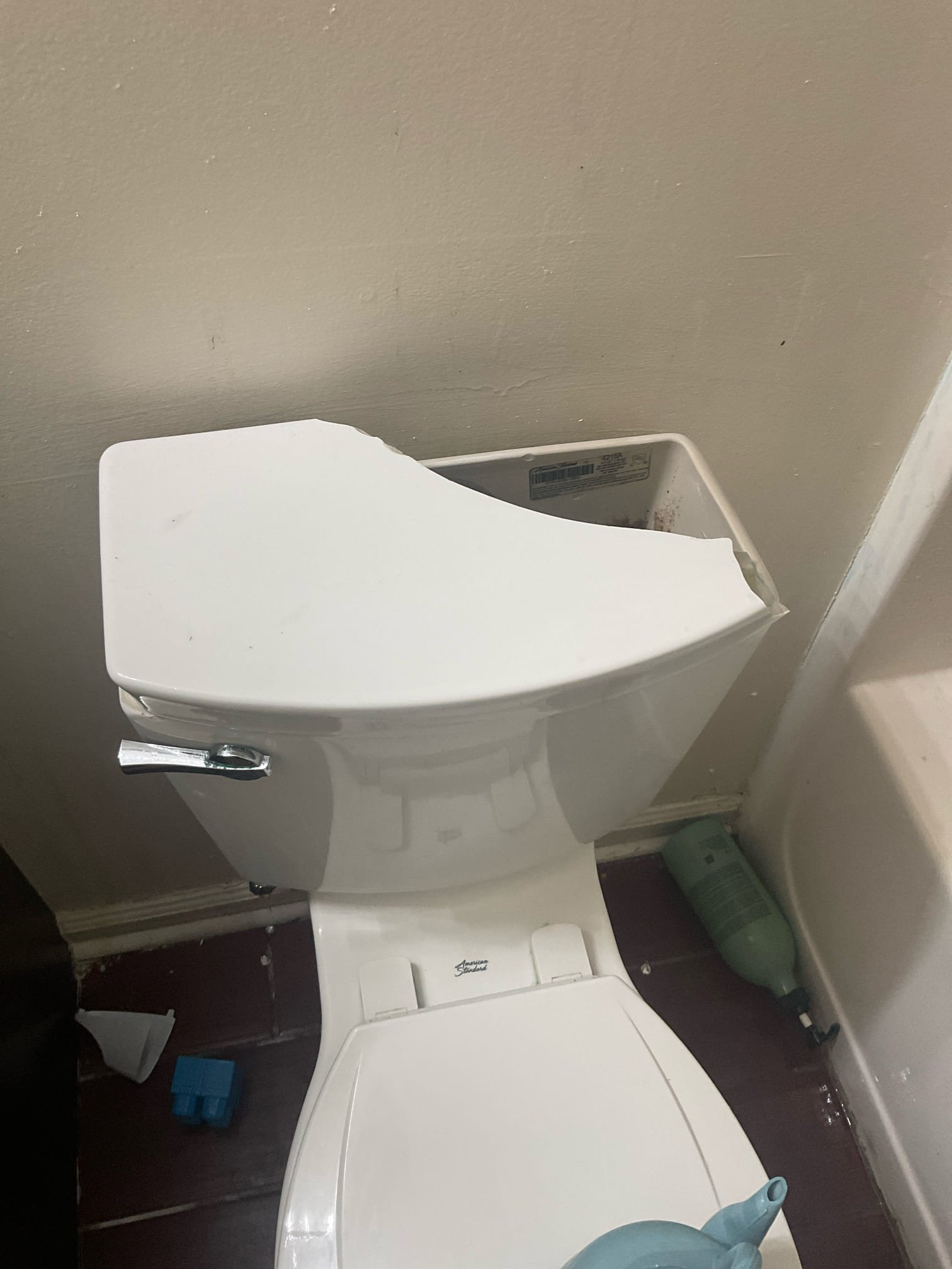 Quoted new toilet and water heater expansion tank and pipe repair 