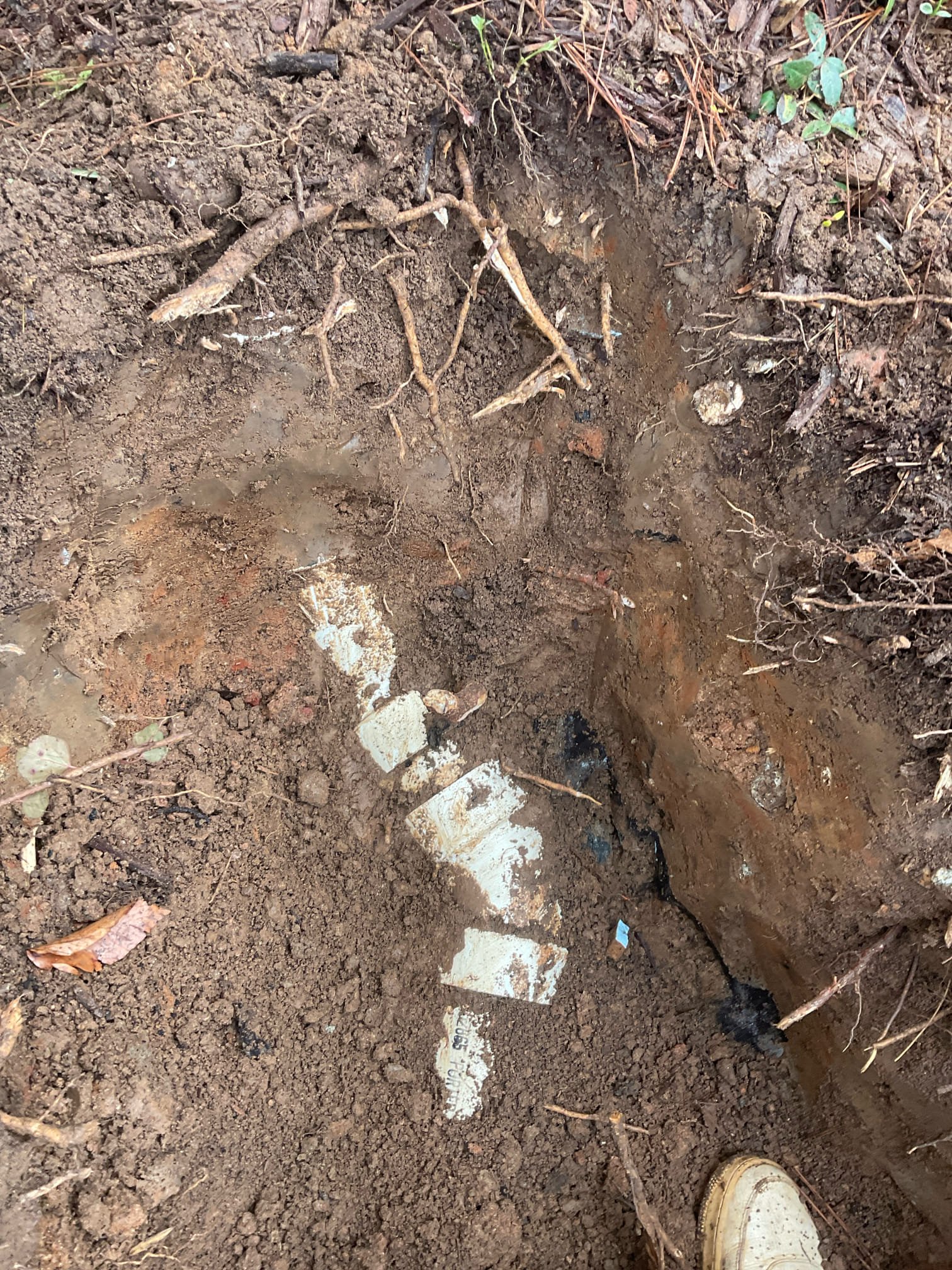 Customer got a sudden soft tissue blockage , we cleared blockage today , installed a new 4” two way clean out , backwater valve with a access box 