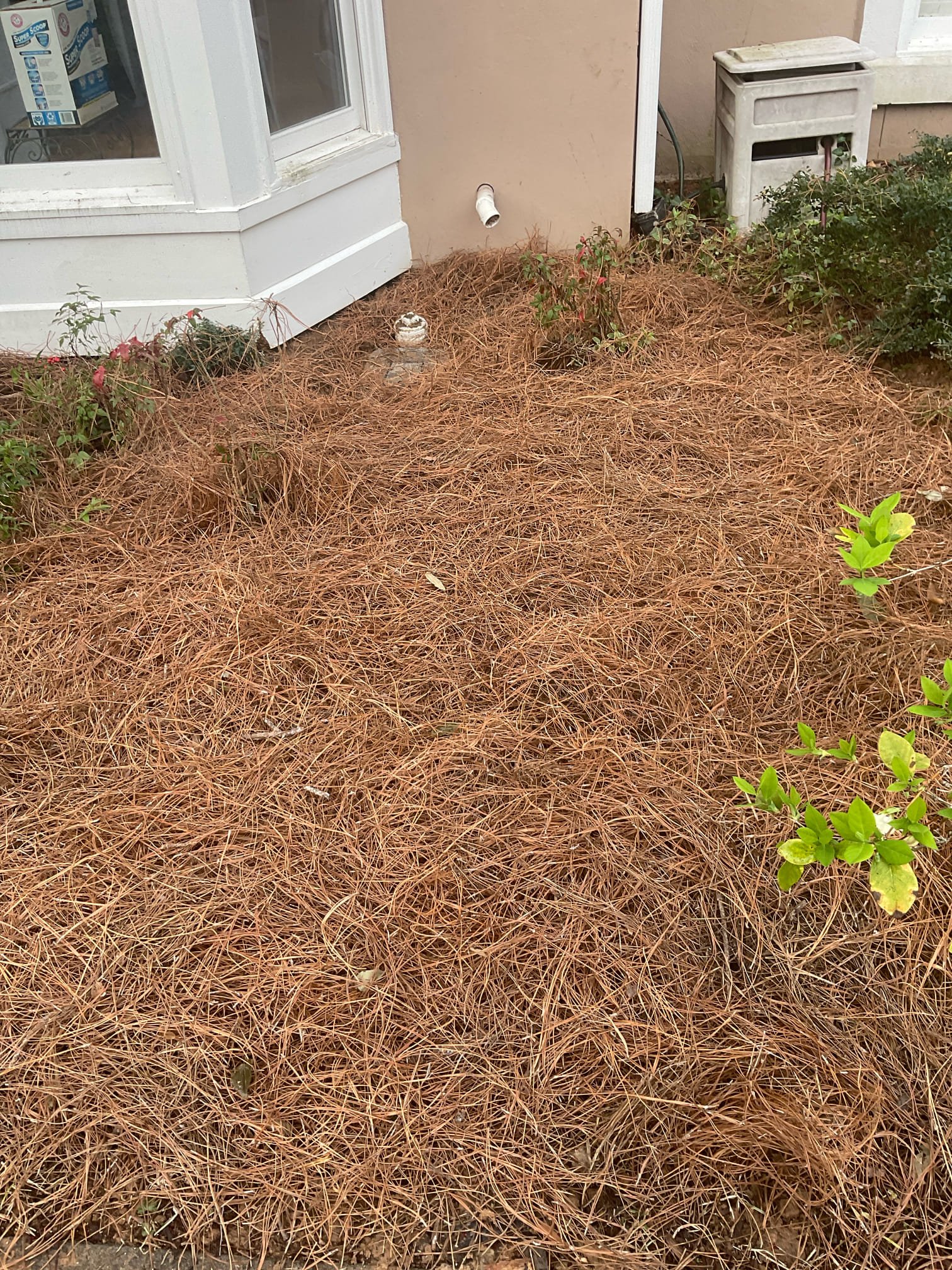 Replaced basement sewage ejector pump , new lid , new check valve and ball valve installed. 