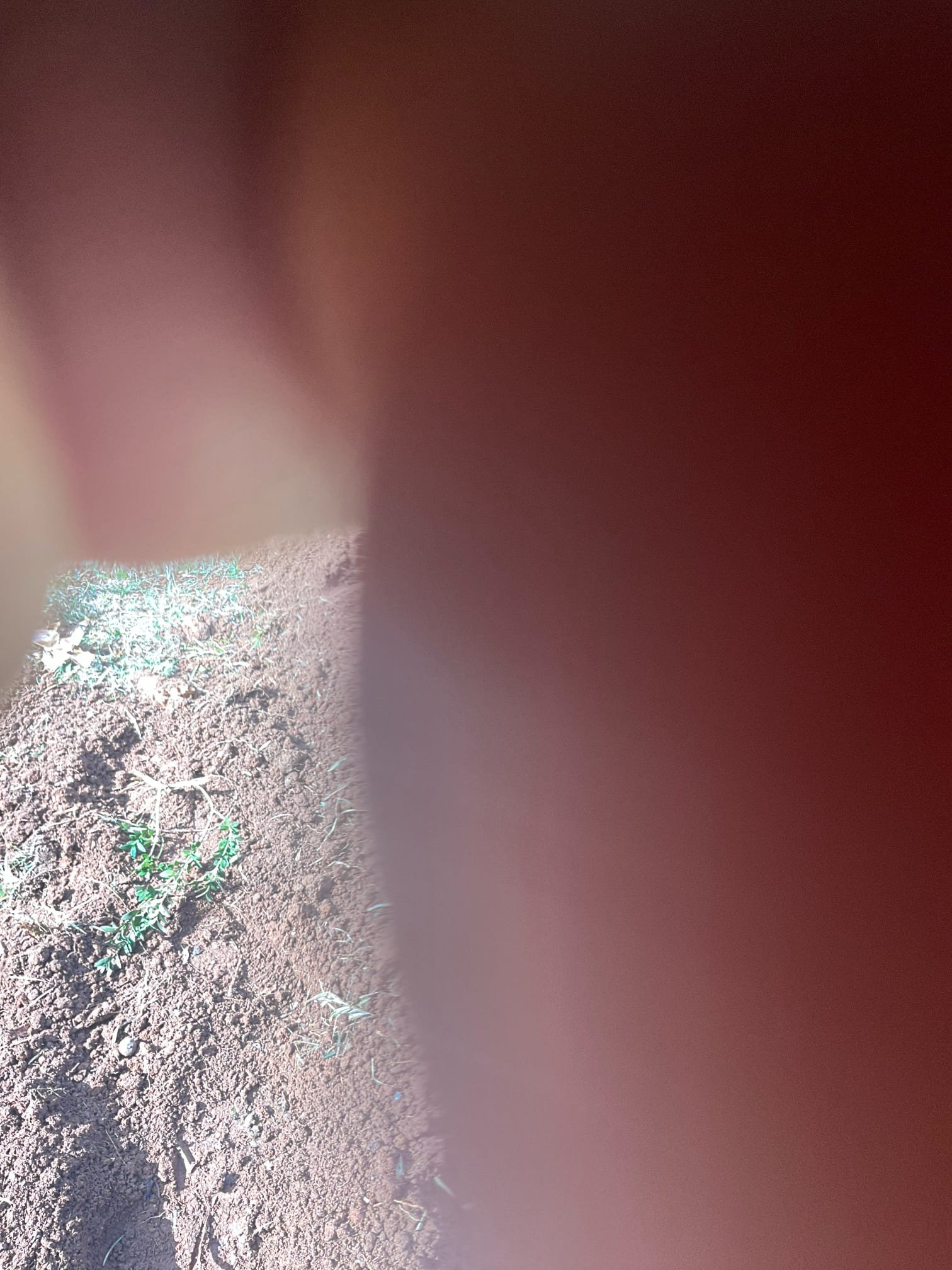 Replaced old galvanize water service line from water meter to crawl space , we trenched with Vermeer trencher and installed 1” black poly line to crawl space and connected to existing 3/4 “ copper pipe , we add a shut off valve with access box next to water meter. 