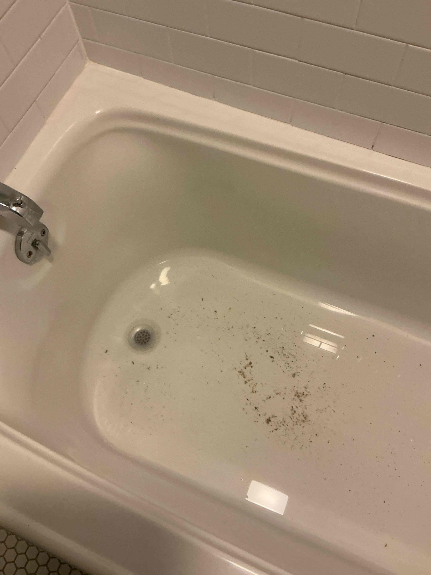 Found guest restroom tub&shower backed up. Snaked drain and pulled back hair. Found master shower backed up. Snaked drain and pulled back hair. Ran tub and shower for several minutes to test. No other issues at this time.