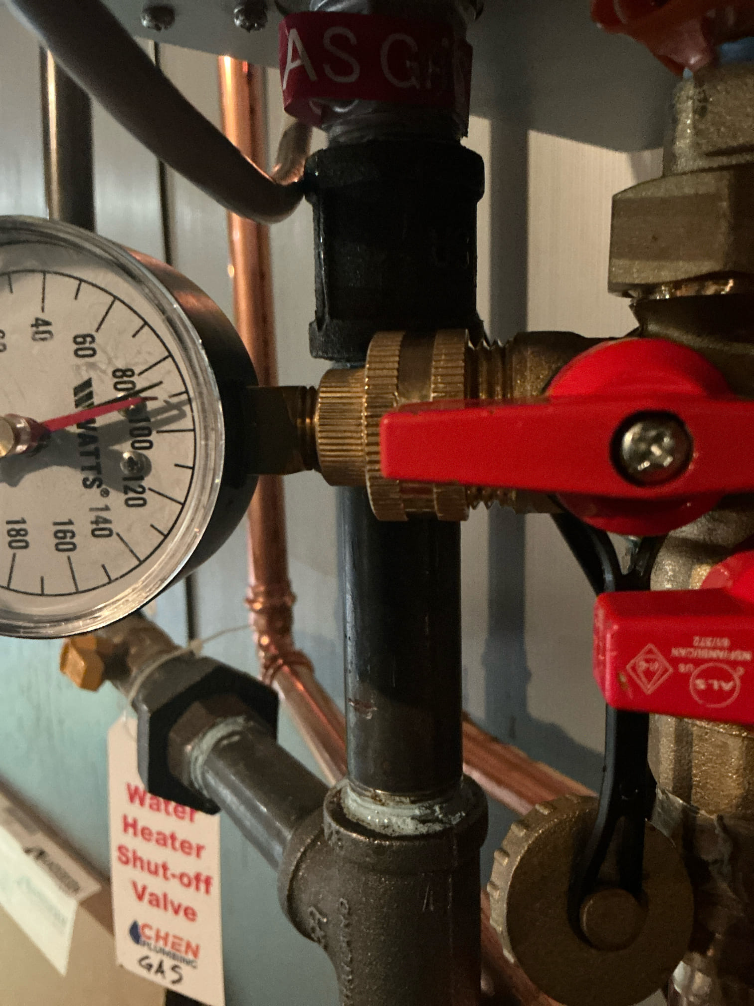 Flushed Rheem tankless water heater in basement. No other issues at this time 