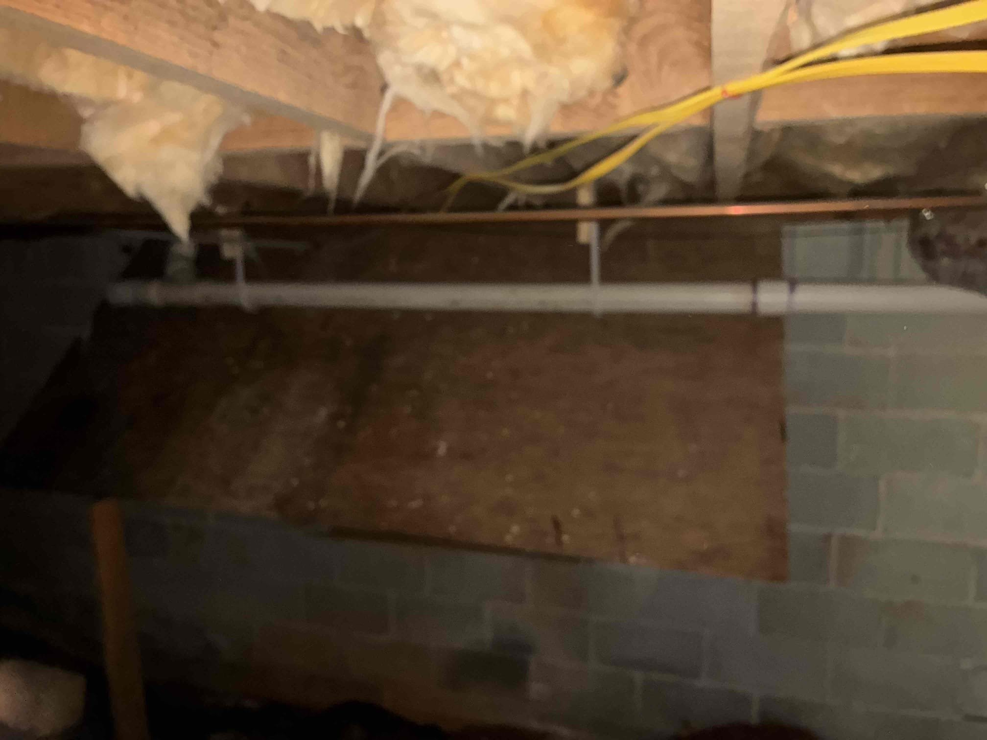 Today will start and finish of relining process. Dug down to each end of drain line. cut into access for relining work in crawlspace. Had to remove small portion of cinderblock wall and jackhammer small section of concrete in order to remove 90 located in slab. Also removed remaining cast-iron above ground in crawlspace, along with reworking strapping to make for better pitch. After relining process was complete reviewed work and later ran water to ensure proper drainage function of home. Cut in 4 inch two way clean out outside in second dig spot. After two way was installed backfilled hole to rough grade and set clean out. Cast iron piping is now completely relined all the way to drop for Main.