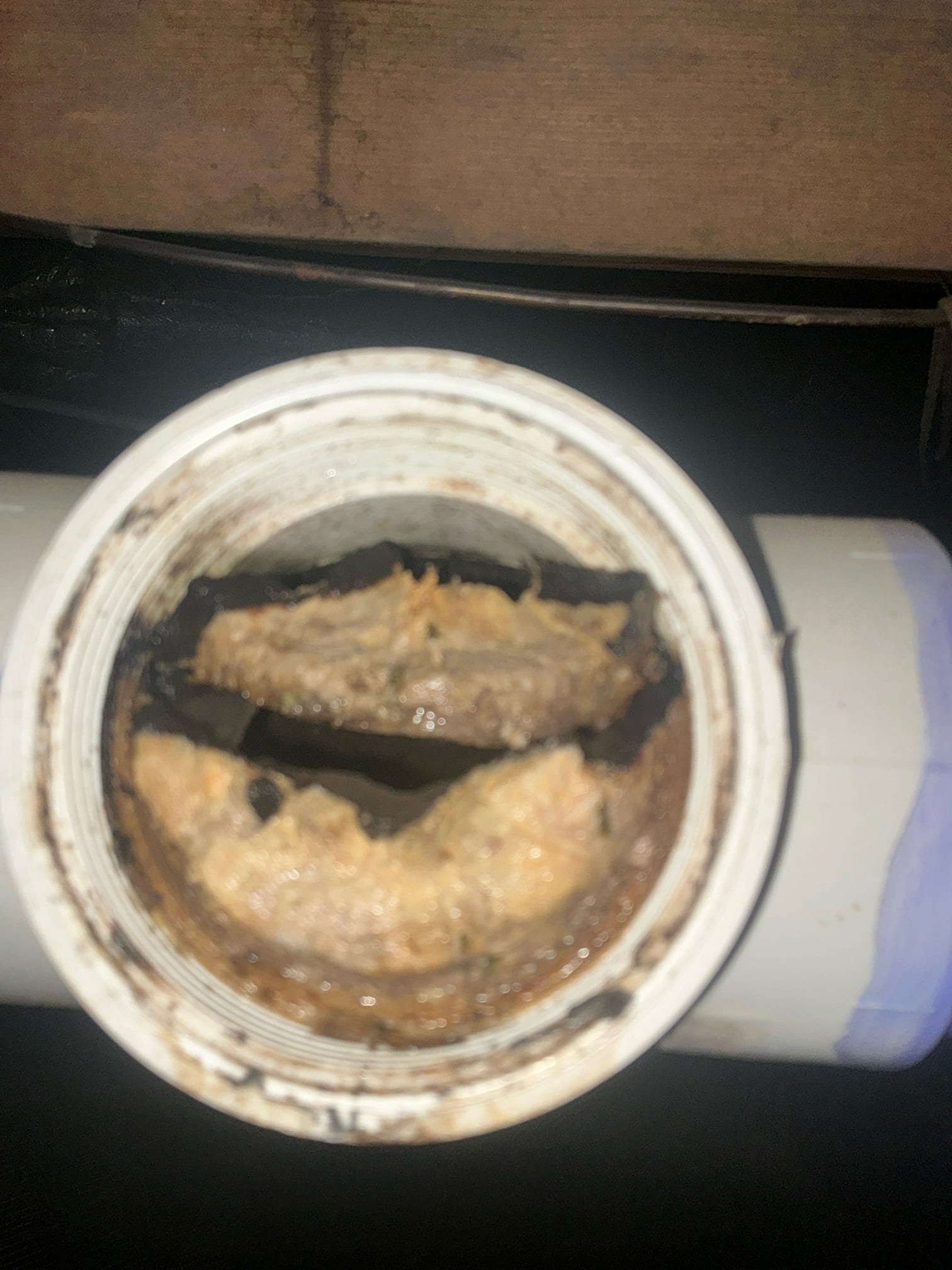 Found kitchen sink clogged with grease. Jetted drain from tap tee in crawl space to remove grease. Snaked upstairs master restroom lavatory and pulled back hair. Ran water for several minutes to test no other issues at this time.