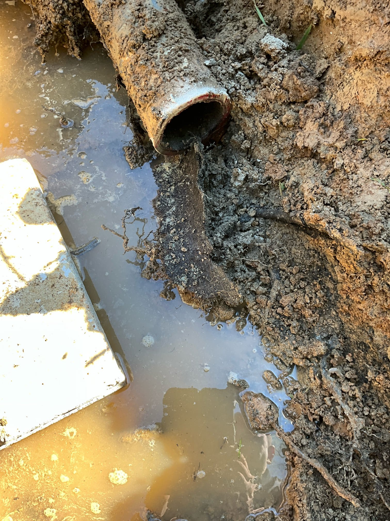 Return to fix sewer line breaks from previous quote.

Arrived and started dig up. Once pipe was exposed we found a broken and buried clean out, a cause of one root intrusion. The second break and intrusion was located further down as seen on camera. 

However, upon cutting pipe we discovered it was not cast iron, but orangeburg pipe. I discussed the findings with Chris, as well as some recommendations. He elected to replace the entire sewer from the pvc section near the house, to as far back as we could go towards the back of the property, to make the sewer as much continuous pvc as possible. 

We also installed a clean out near the back towards the orangeburg connection that allows access towards the house and away. We 
Left approximately 4 feet of 4 inch pvc for future repair connections of the remainder of the line is ever replaced. That repair would require several trees to be removed, and a thorough assessment of pipe depth in order to provide an accurate estimate.

Backfilling pr
