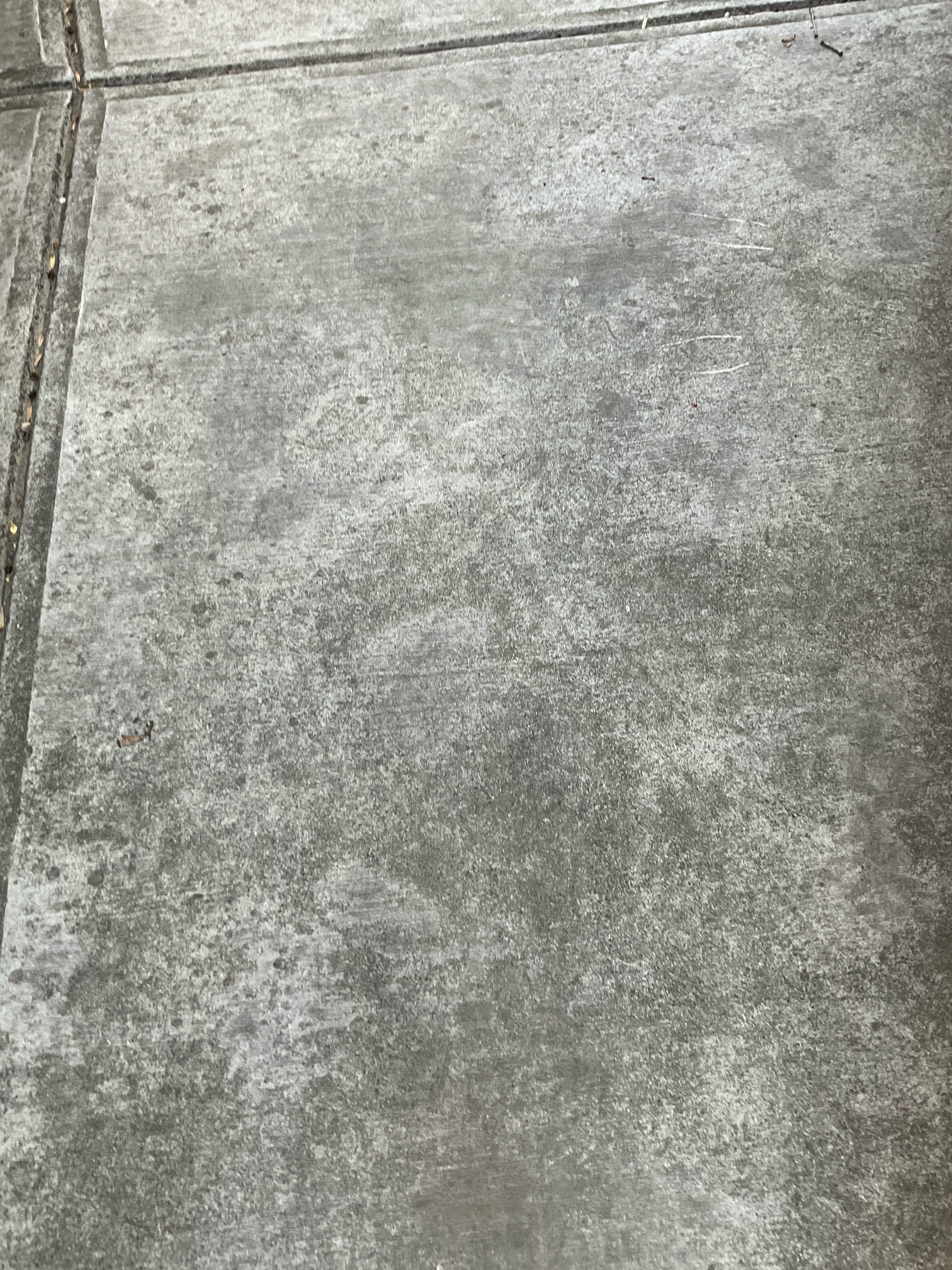 Replaced an old toilet , supply and installed a Kohler intrepid elongated ada toilet , new toilet flange for lead pipe installed. 