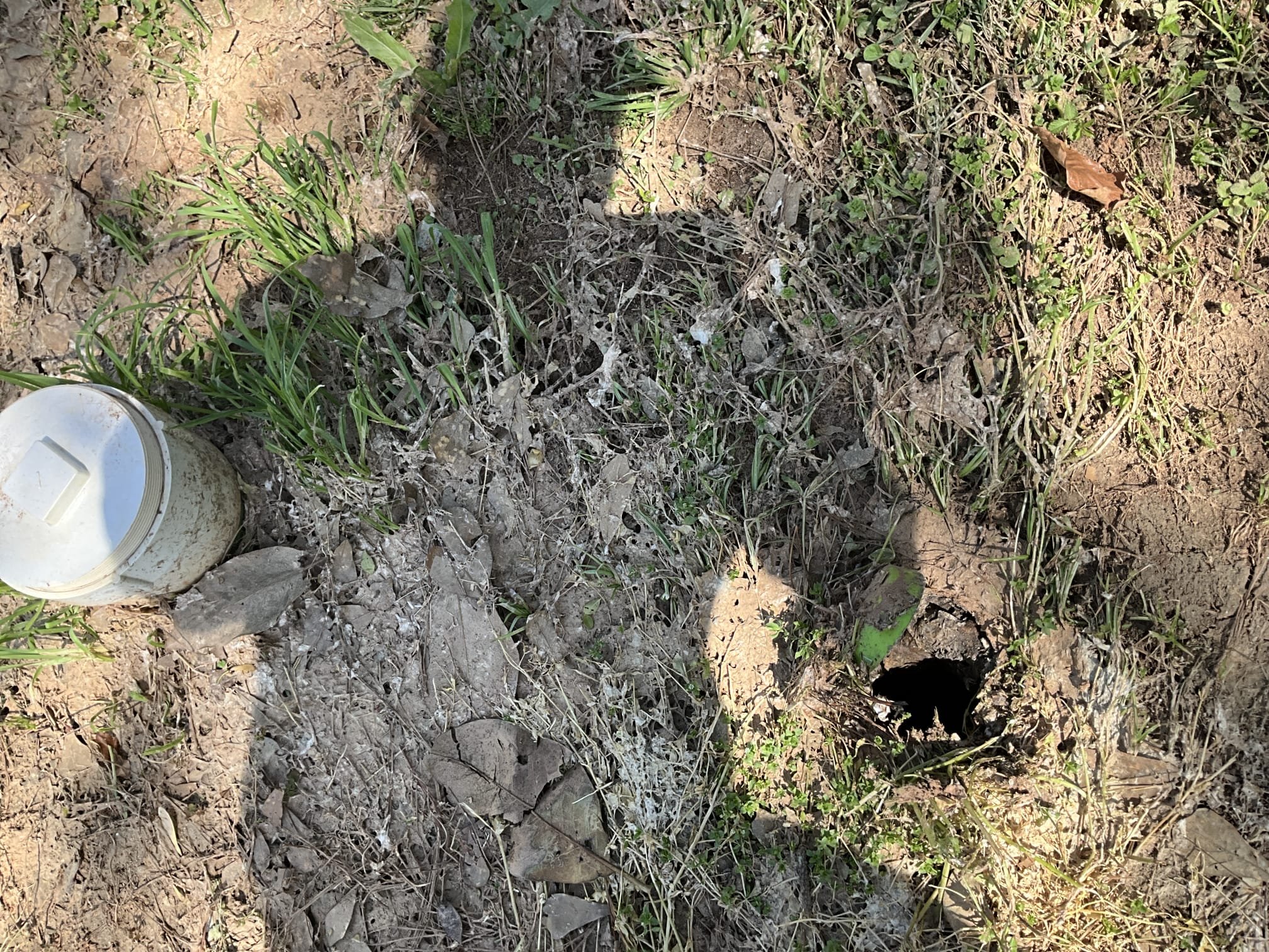 Inspected the 2950 unit of duplex for the annual membership inspection. Spoke with customer about the most important repairs and narrowed it down to a new water heater, new PRVs, and replacing a dripping stop. There are other areas on the inspection that failed, but these are the most important repairs. The new water heater is recommended because the heater is 22 years old, has obvious signs of corrosion, and is missing components to meet code requirements such as a thermal expansion device. Two new PRVs are recommended because the house pressure is 140 psi and code dictates that less than 80 psi is considered safe. A new toilet stop is recommended because there is a stop dripping upstairs that has leaked from the second floor all the way to the garage. 

Replaced toilet stop today, and collected for stop and 25% of sold work to order material. Will return tomorrow to replace the heater and PRVs.