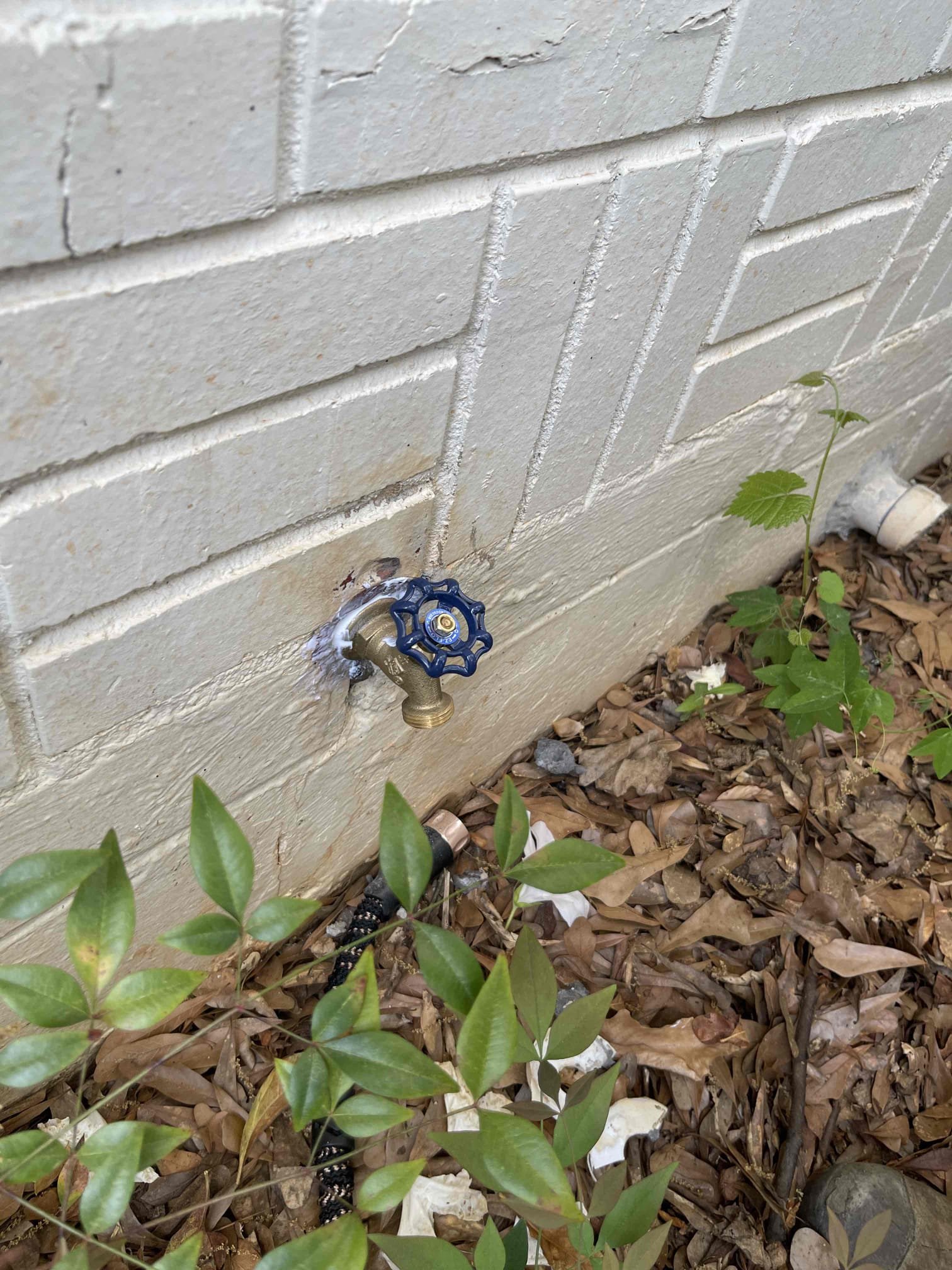 Replaced hose bib on the front of the home. Tested to ensure,proper function and a leak free install. Water pressure tested in the normal range. No further issue at this time. 1 year warranty