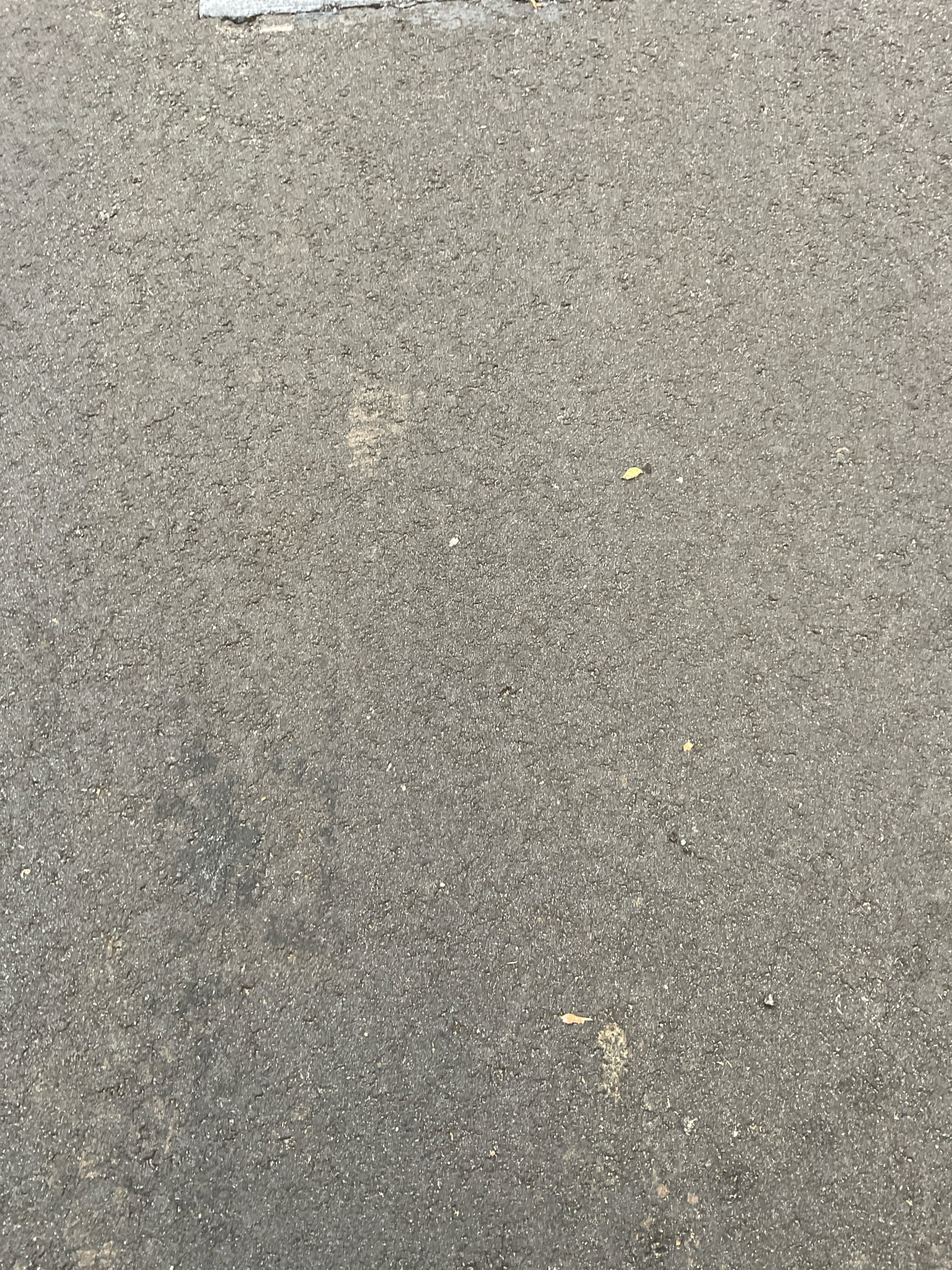 Main line backed up today and overflowed in basement sink when washing machine is used in main floor , we opened clean out in the back of the home and pipe is full , we used 100 feet cable attempting to clear it but unfortunately we can’t clear it because of heavy blockage possible with roots or broken pipe . We provide with quote for repair today . 