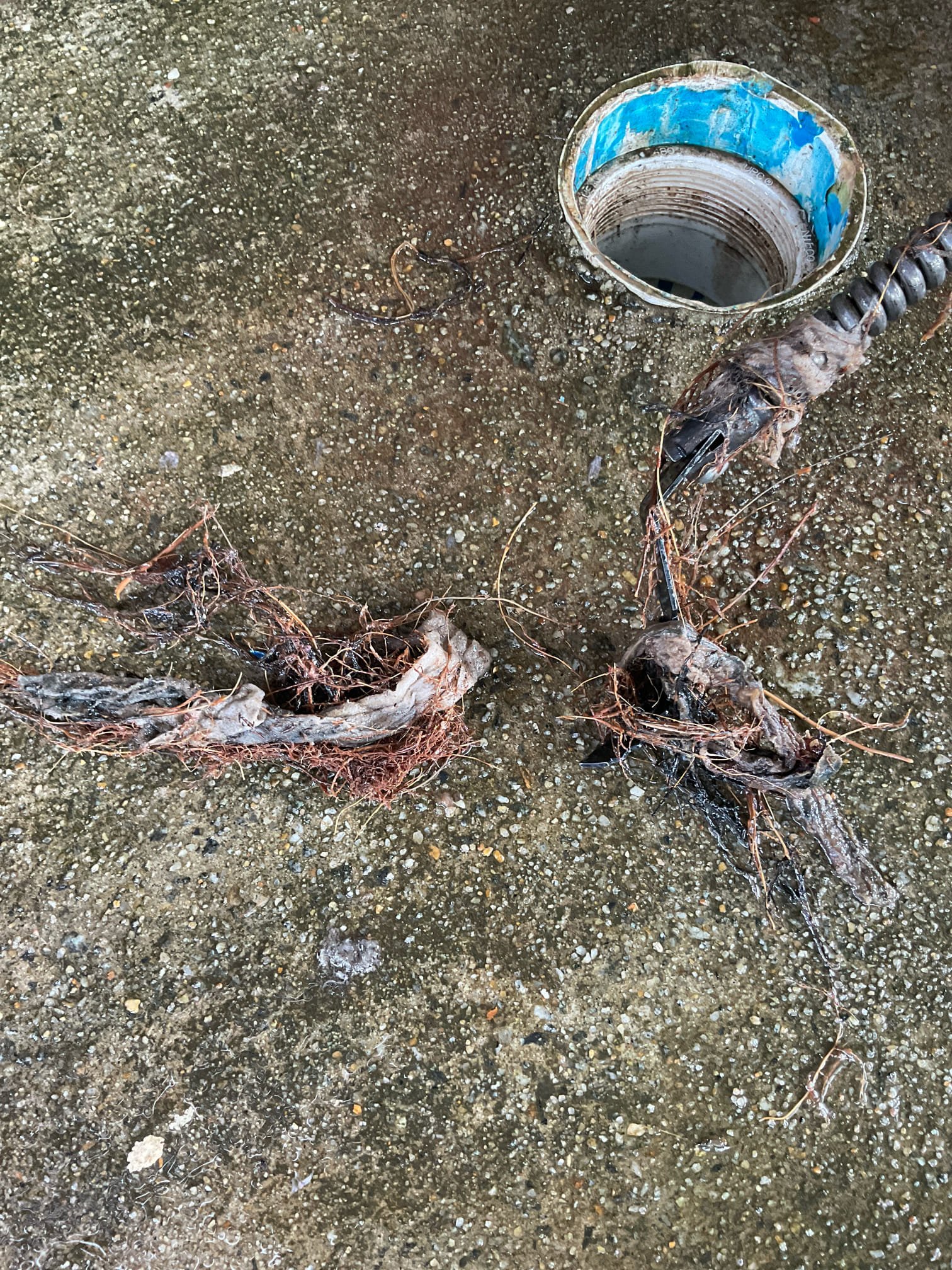 Snaked the main line again from clean out in the back of the home ,we did clear the blockage , cable almost got stucked in the pipe , roots problem , no warranty 