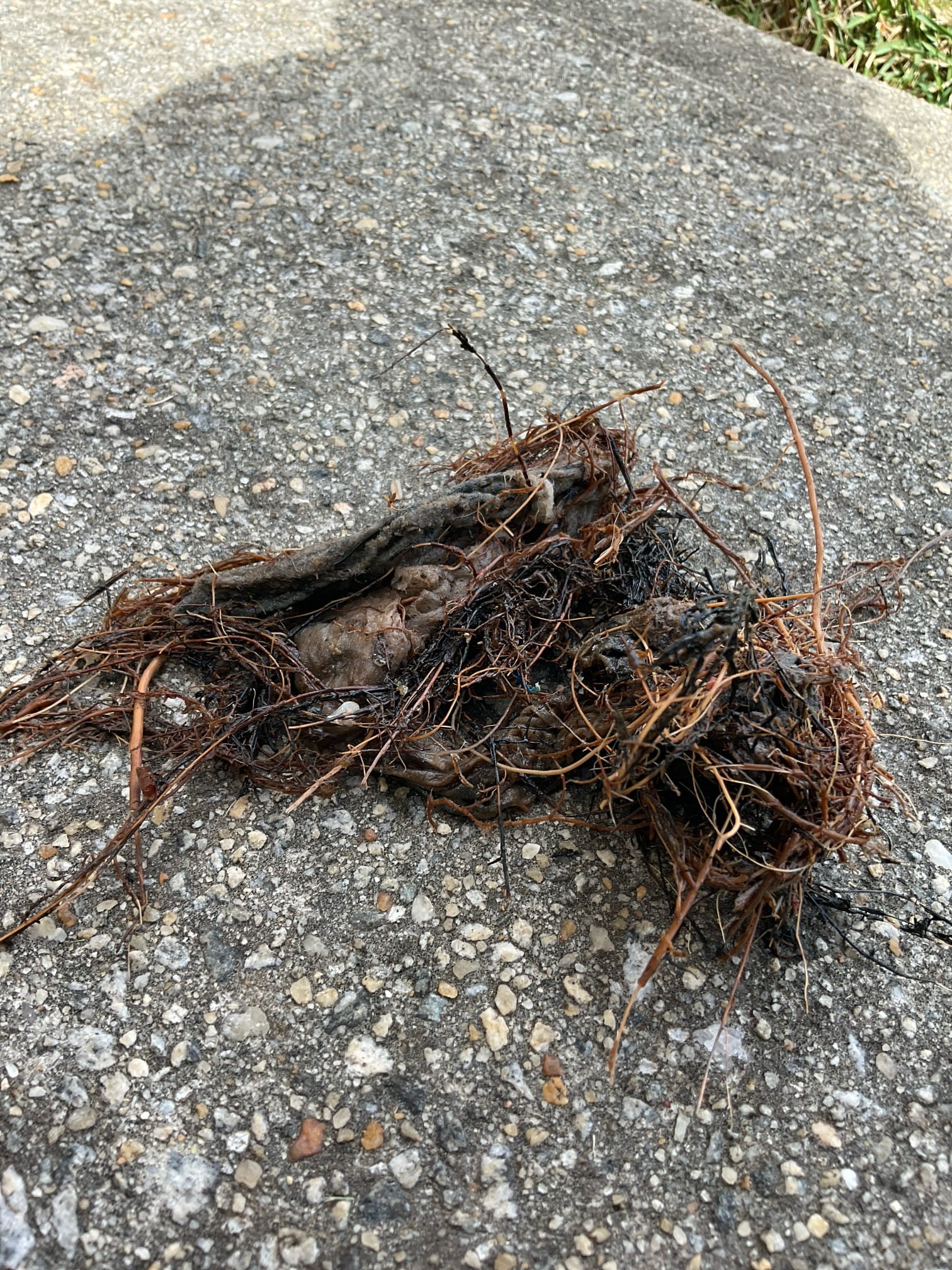 Snaked the main line again from clean out in the back of the home ,we did clear the blockage , cable almost got stucked in the pipe , roots problem , no warranty 