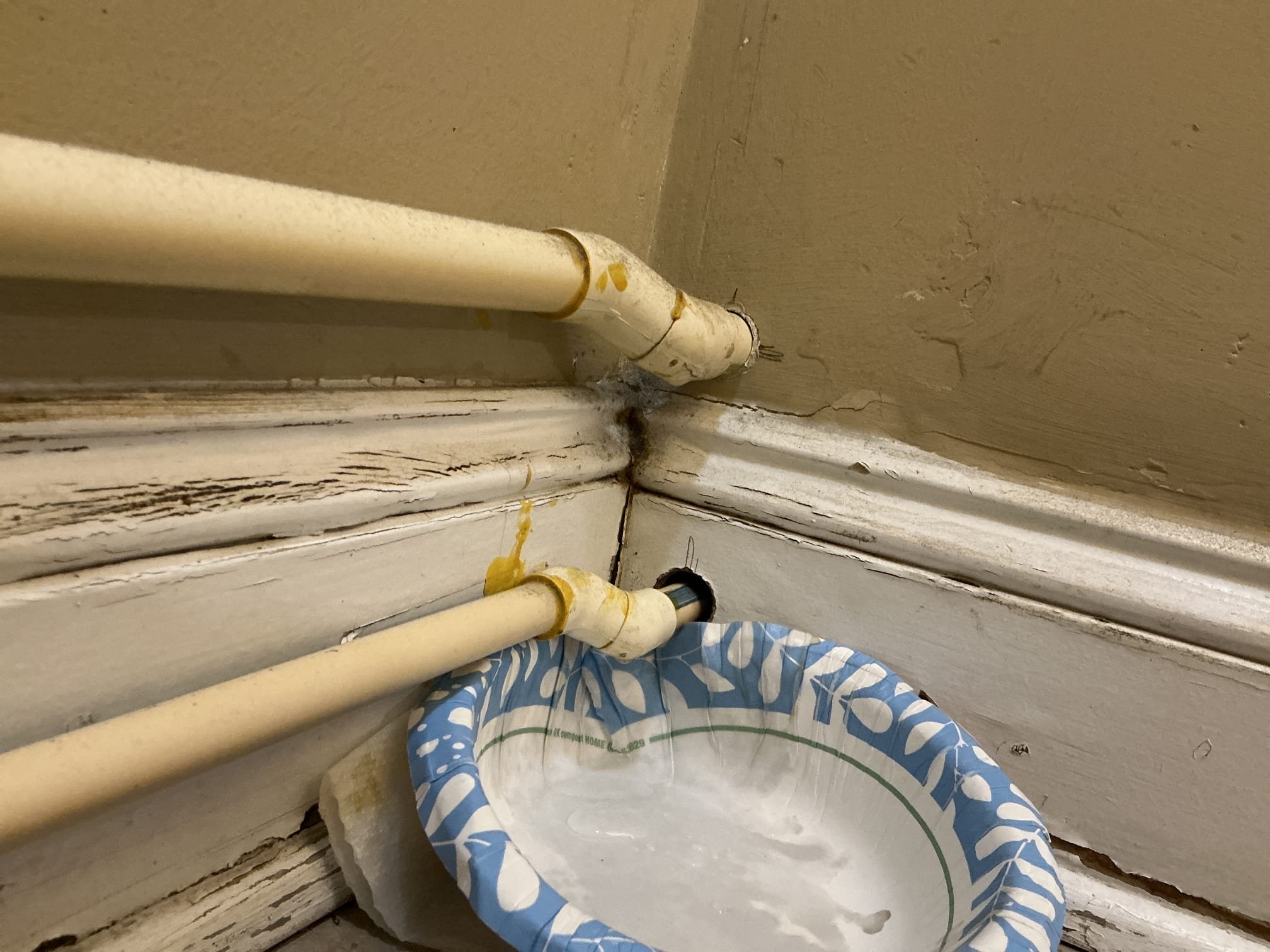 Client called us out due to a leak on a cpvc water line that is running along the base of the wall in the women’s bathroom and around to the other fixtures in the building. It was cracked on a 45 offset and slowly dripping down. We turned water off and cut out that leaking section and some more pipe and adapted to Pex a. Put line back in Pex a water pipe and restrapped to the wall as it was. Turned water back on and tested, no leaks. 

Unable to check water pressure. 