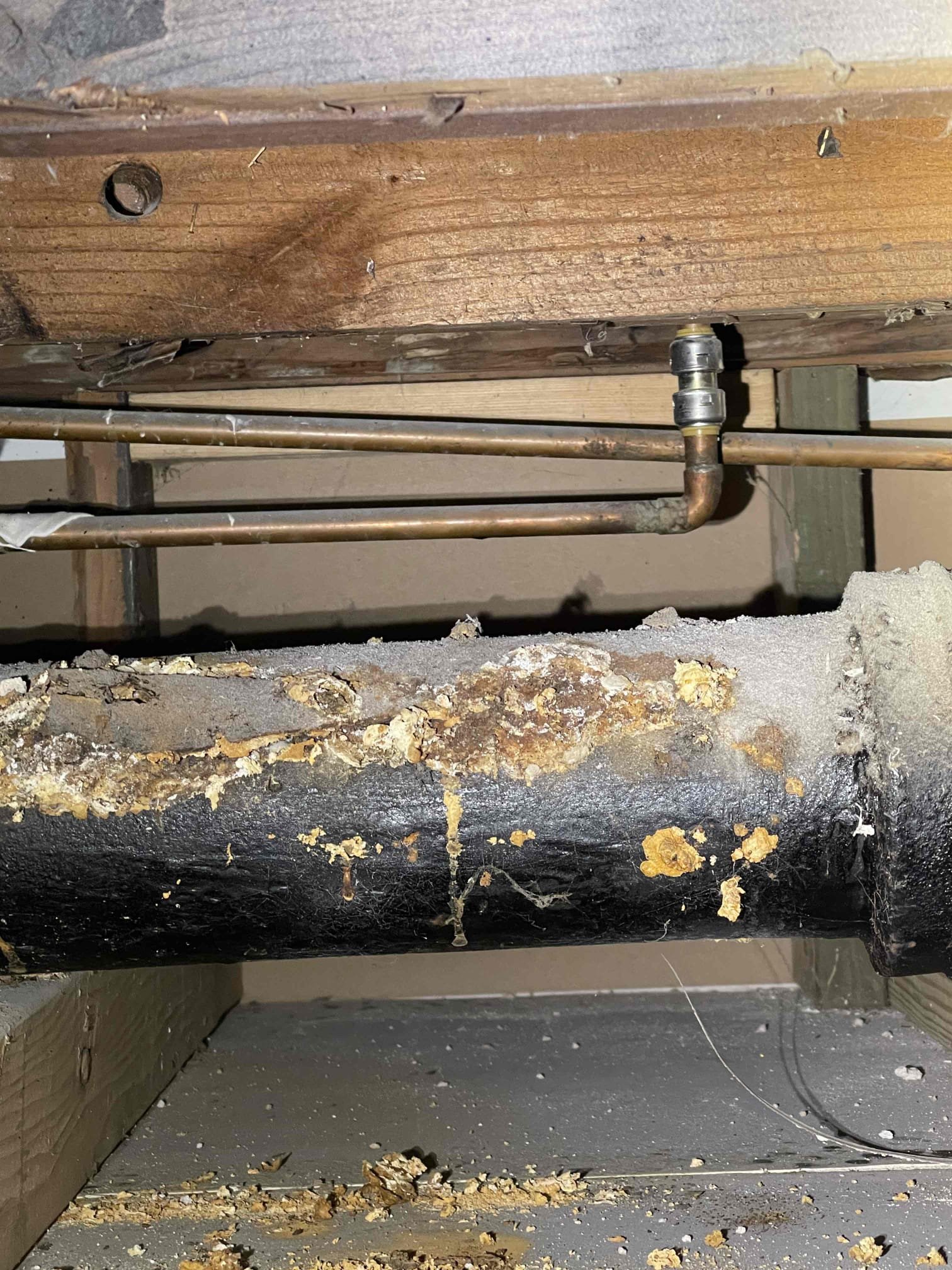 Came out to look at a bathroom that the homeowner had added on in the basement. Homeowner had some pictures from when the contractor did the work. There was nothing about the system that was installed correctly. No venting was done on any of the fixtures. There was a bathroom fan exhaust that was attached into the drainage system. System will require being completely ripped out and redone. We gave a quote to camera the system because the homeowner didn’t have enough pictures of the work done under the slab for me to be able to accurately assess what the total scope of the work will be. Water heater was also not to code. Needs an expansion tank and the t&p connected. Kitchen sink basket strainers are also leaking.