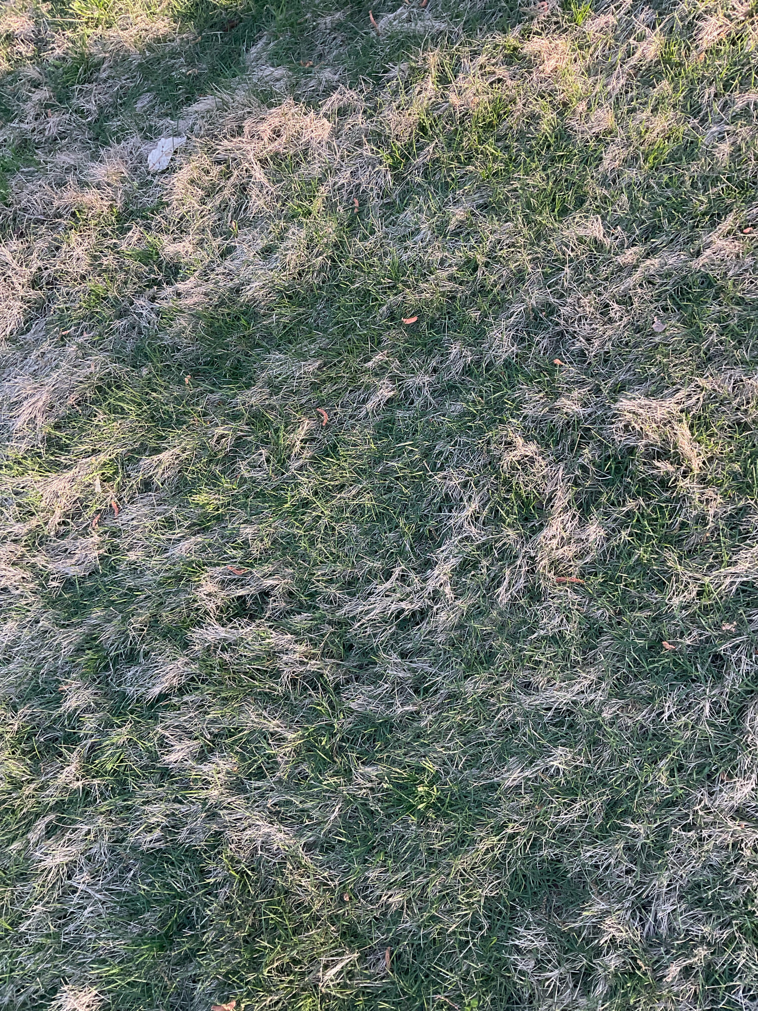 We have fixed water line leak after meter and also replaced a bad yard hydrant with new one , we put gravel around bottom for water drain out , we installed 1” black poly pipe from meter to yard hydrant and installed shut off with a access box after meter , job uses mini excavator dug up and back filled . 