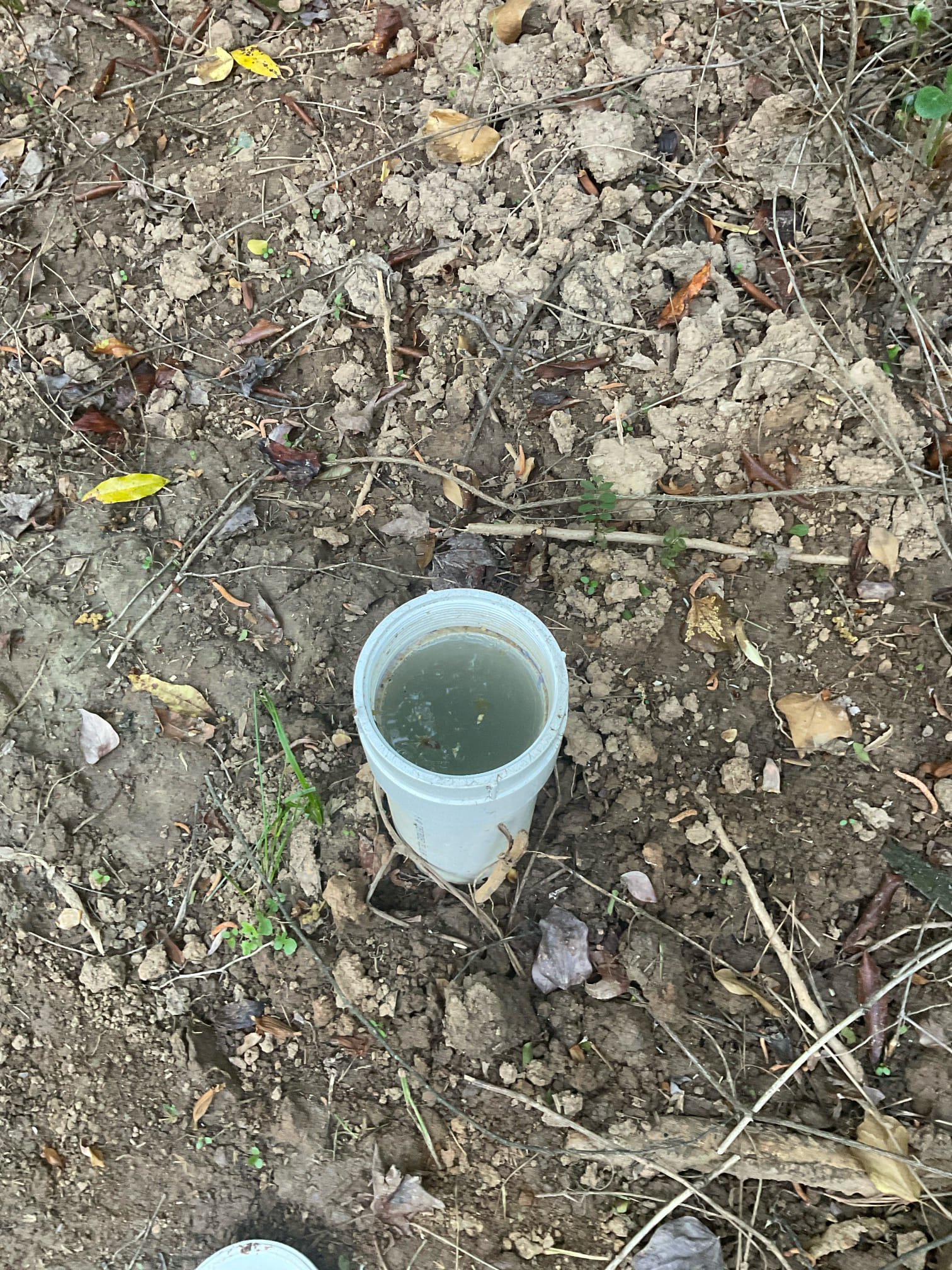 Can’t clear the main line blockage , problem in under a tree .