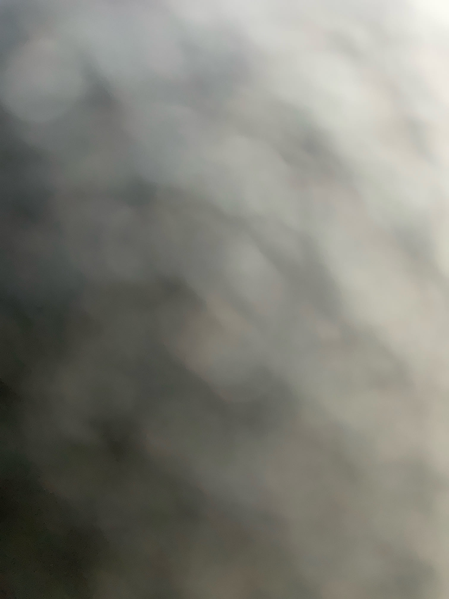 Checked toilet back up issue , found back up at 6” clean out near the street , this is Dekalb county issue , I give phone number and let customer called to county to fix this problem 