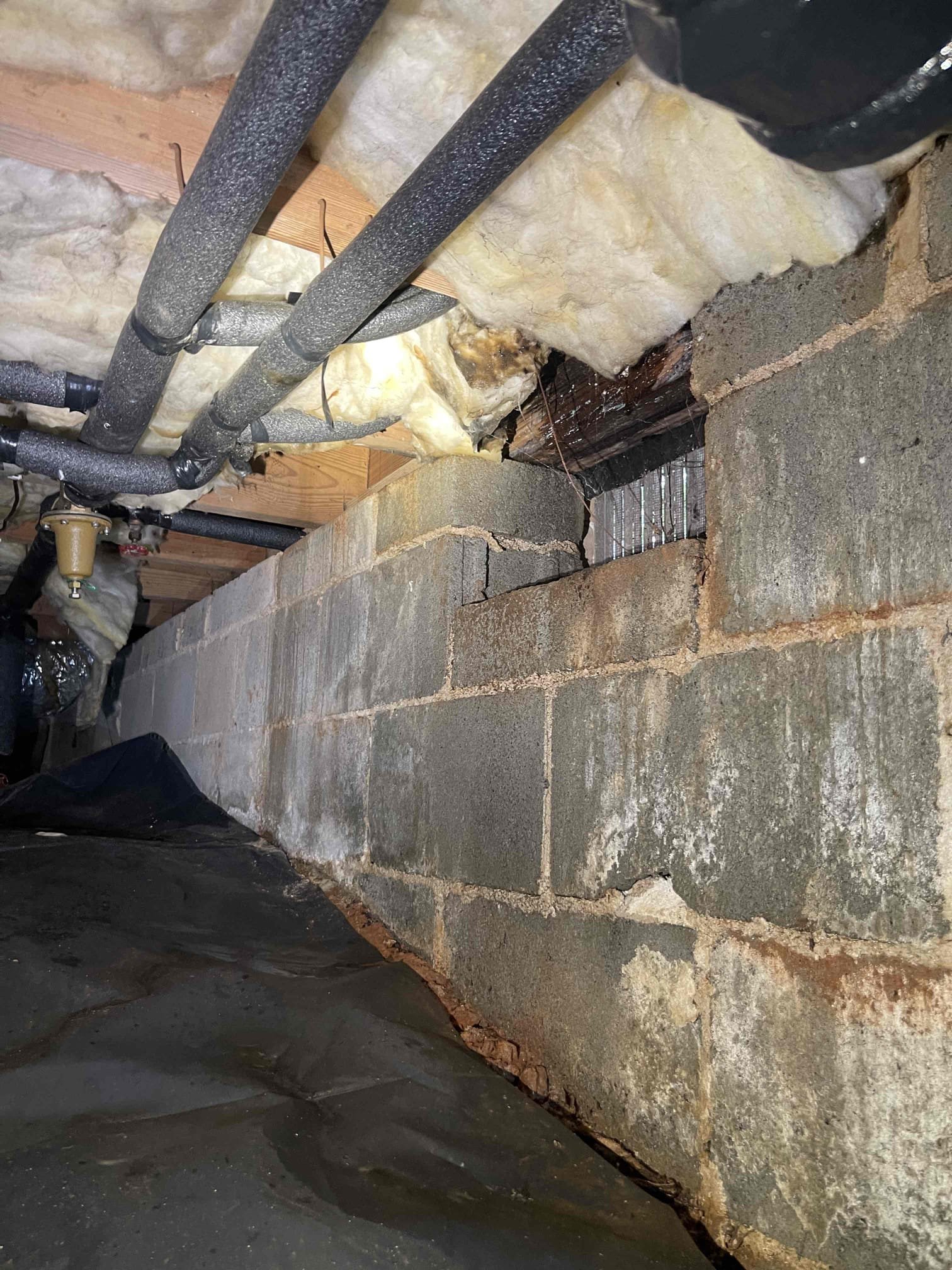 Came out for a leak from the kitchen into the crawlspace. Upon arrival we examined the crawlspace and found a lot of water damage under the kitchen sink. Water was actively dripping down the water lines from above the subfloor. Was unable to identify the leak from below. I was able to remove the escutcheons on the waterlines coming up through the cabinet. Could see sharkbite fittings under the base of the cabinet. Believed one of the water lines was leaking as we saw a lot of corrosion on both pipes, but couldnt tell which one, so we recommended just replacing both stub ups. Front hose bib was original to the home and had an active drip. We also replaced the hose bib while the water was shut off. After turning the water back on we verified our repairs were not leaking, however we found there was coming down through the floor in another spot when the sink was being ran. We removed the escutcheon covering the drain in the back of the cabinet and I could feel the pipe back there was wet a