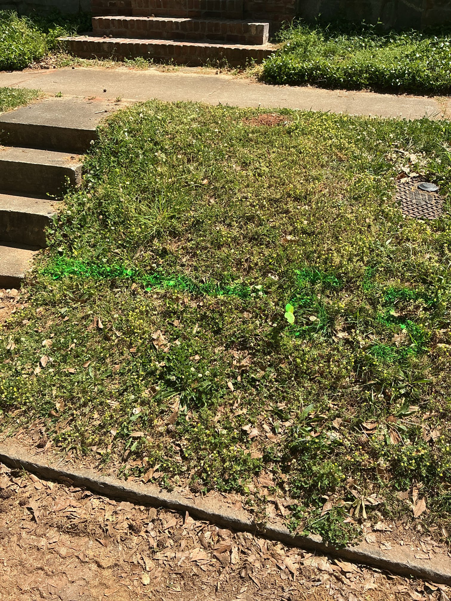 Customer needed camera and sewer line for city to determine if there was work to be fixed on city side of sewer system. Clarified with city worker about roots located on city side of system showed worker camera footage. Reset both toilets used to access sewer line checked for leaks and proper function. Will return when work is done from city in order to do sewer line replacement.