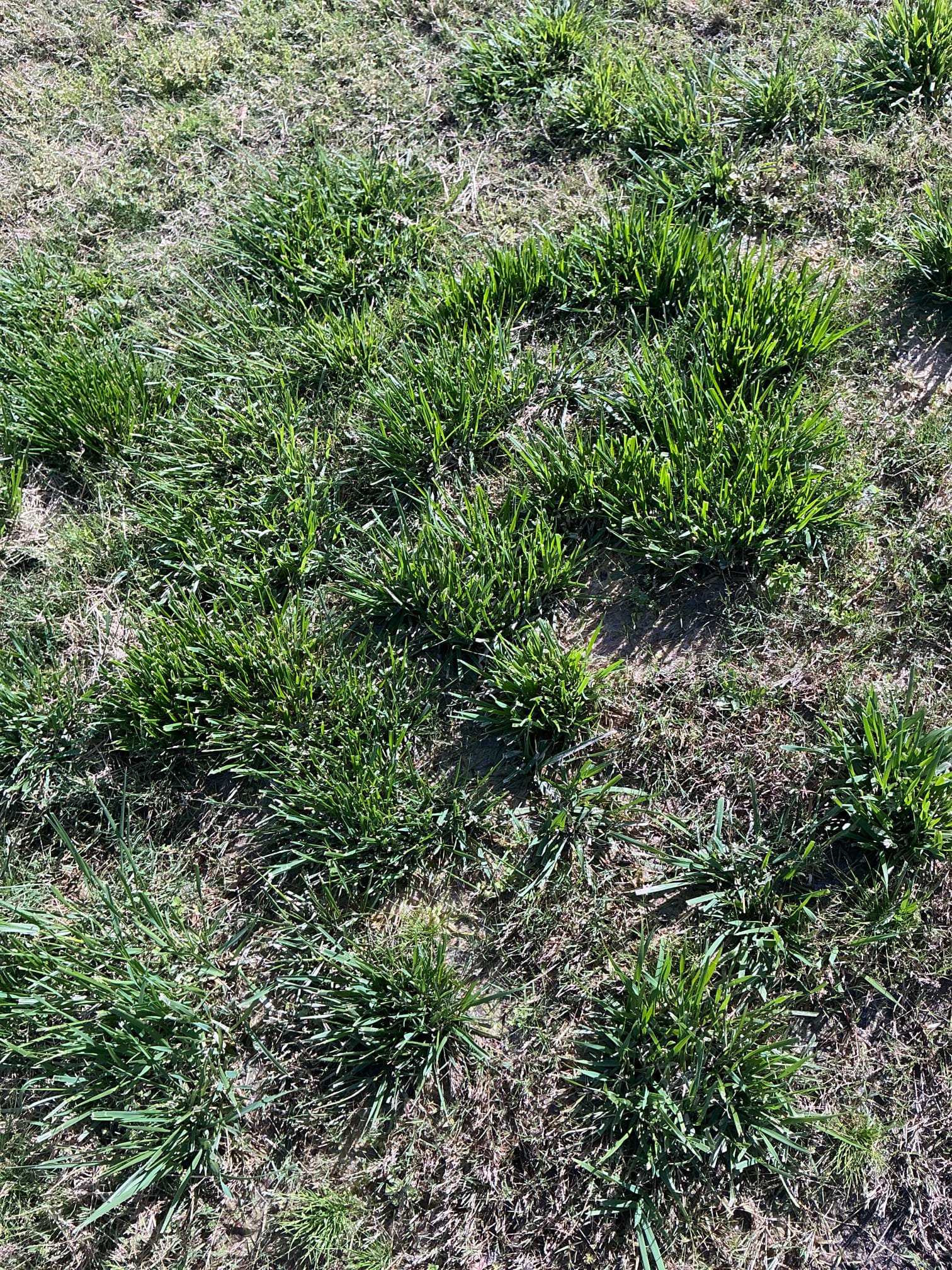 Loft estimate to do an exploratory dig customer is not home. Left estimate to do an exploratory dig customer is not home. Cannot collect any info / trip charge  