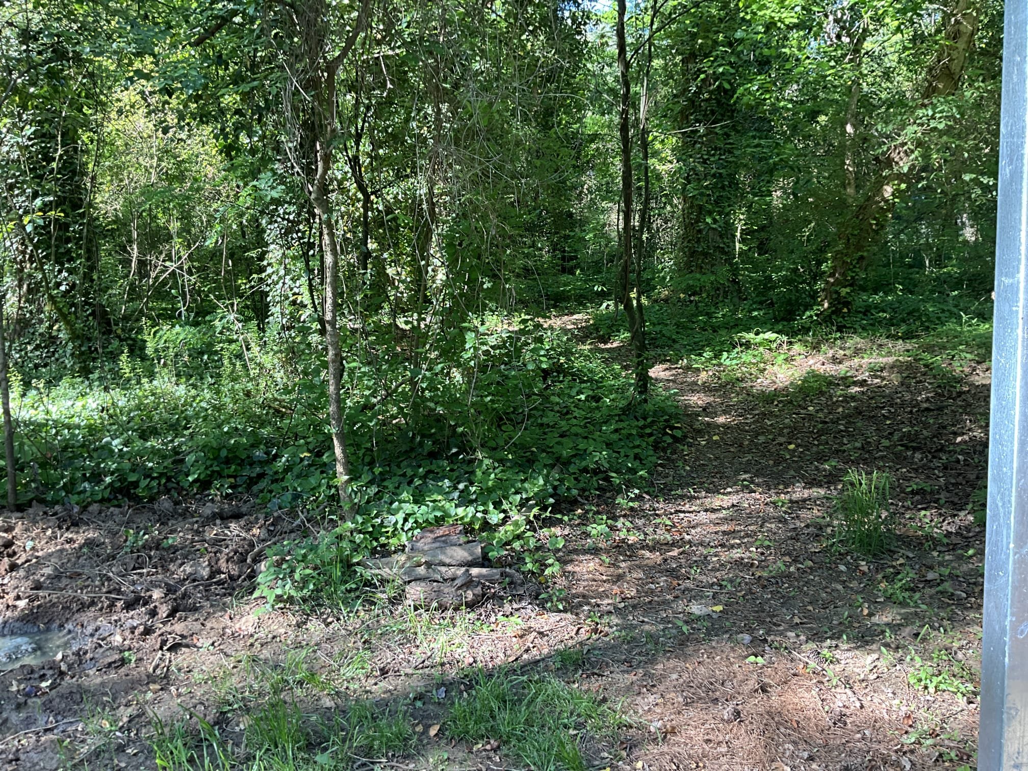 Call to provide estimate for continuing sewer repair all the way to manhole.

Tim Chen was out Saturday for sewer backup.

Discussed findings and concerns with Melanie and Chris. 

They elected to continue sewer repair through woods. I discussed possible damage to trees, and difficulties we may encounter digging trench. We were given approval t9 begin work.

Dug new trench from previously pvc sewer line. Ran new pvc sewer line all the way to sewer manhole. New line was sealed and tested for correct fall along the entire length. Resealed entry to manhole with hydraulic cement. Also replaced drop 90 inside manhole. Cleanout placed near back fence after second 45 degree elbow. Additional cleanout installed within 5-7 feet of manhole in back woods.

Dirt backfilled as well as possible.