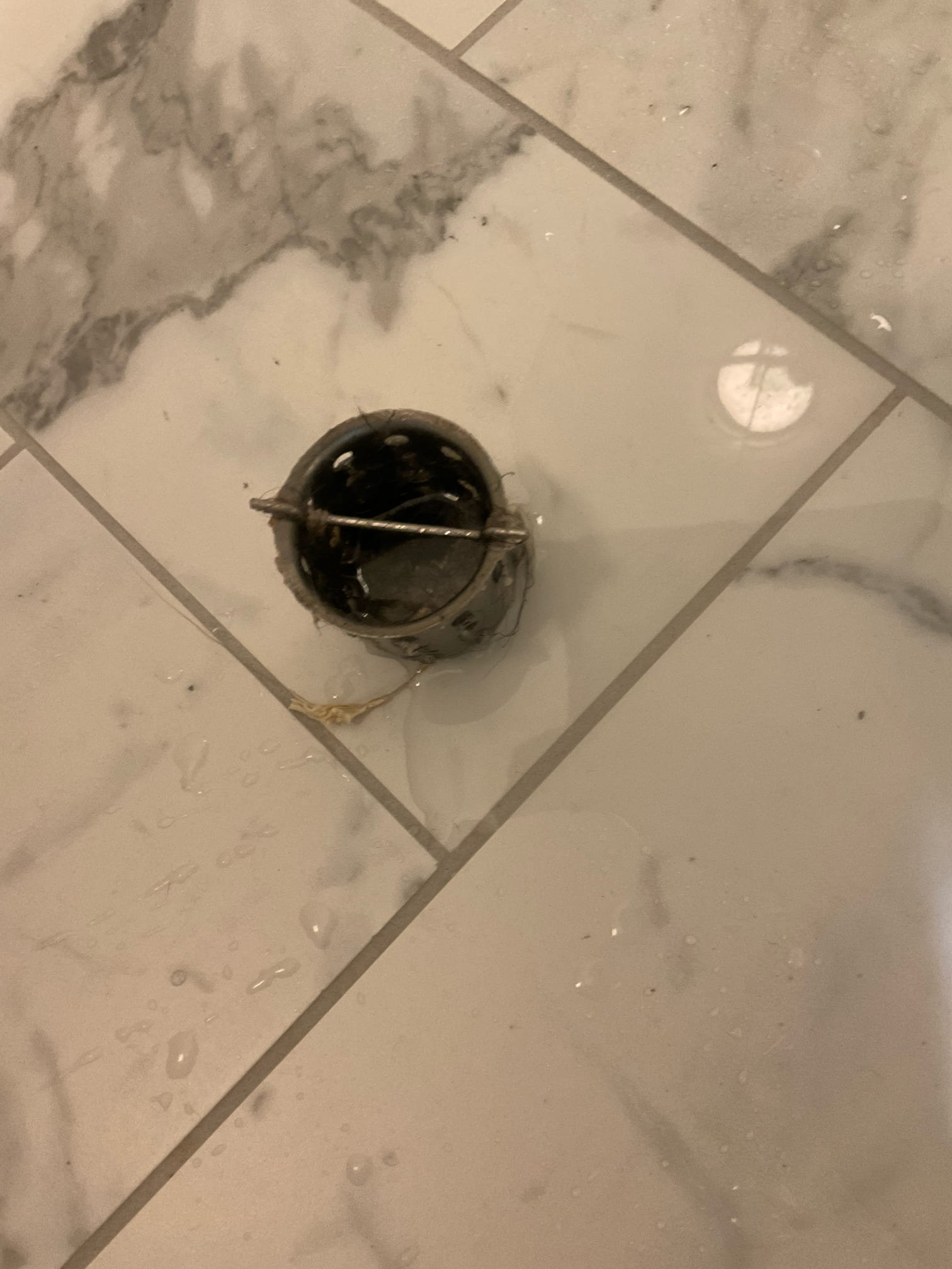 Snake shower drain , discussed and signed up membership with. Customer 