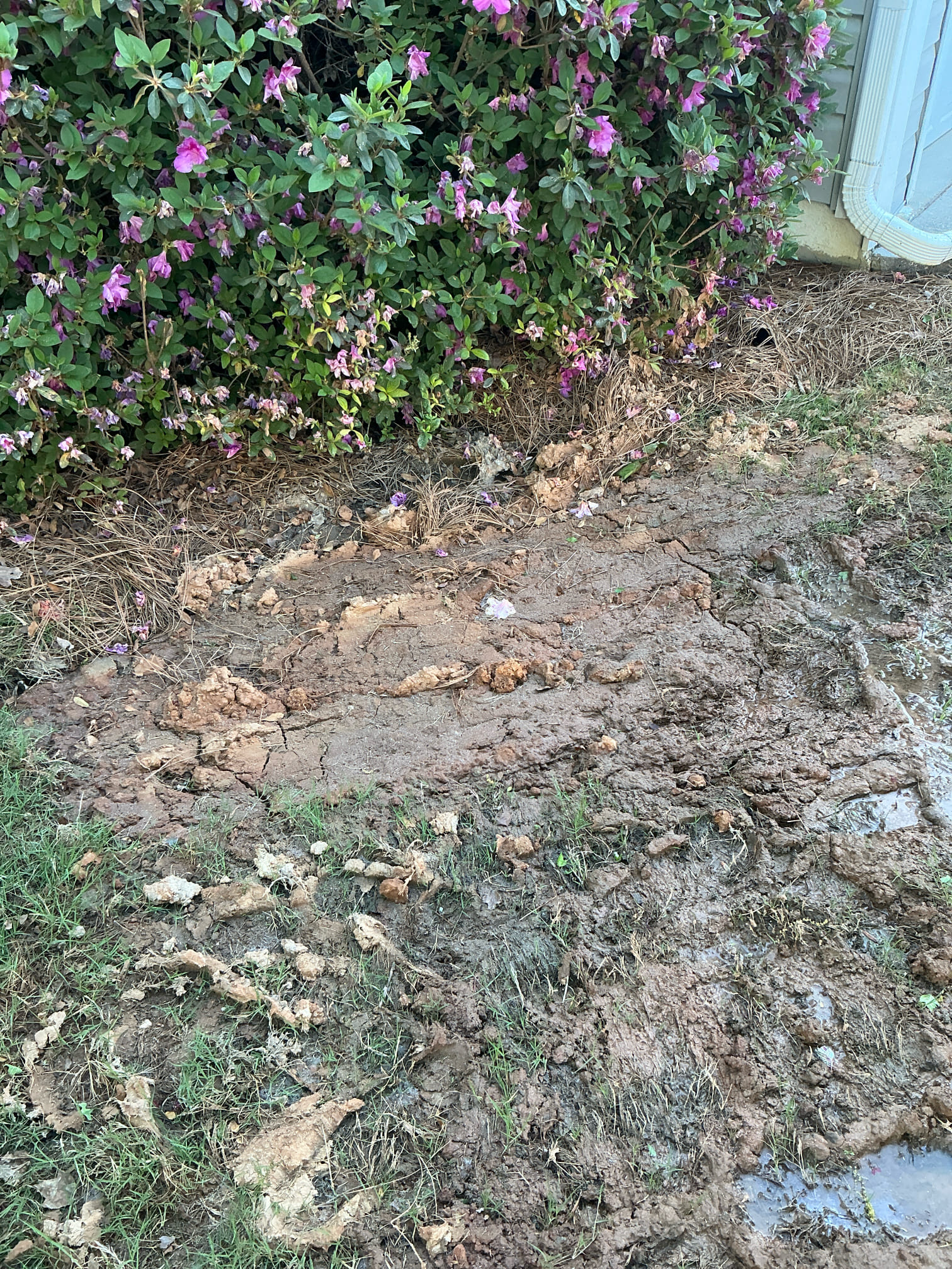 Replaced 1” water service from meter to house tail out due to leak in water service. No warranty on existing tail out and distribution system piping in side of home. Pressurized line before back filling to check for leaks. No other issues at this time.