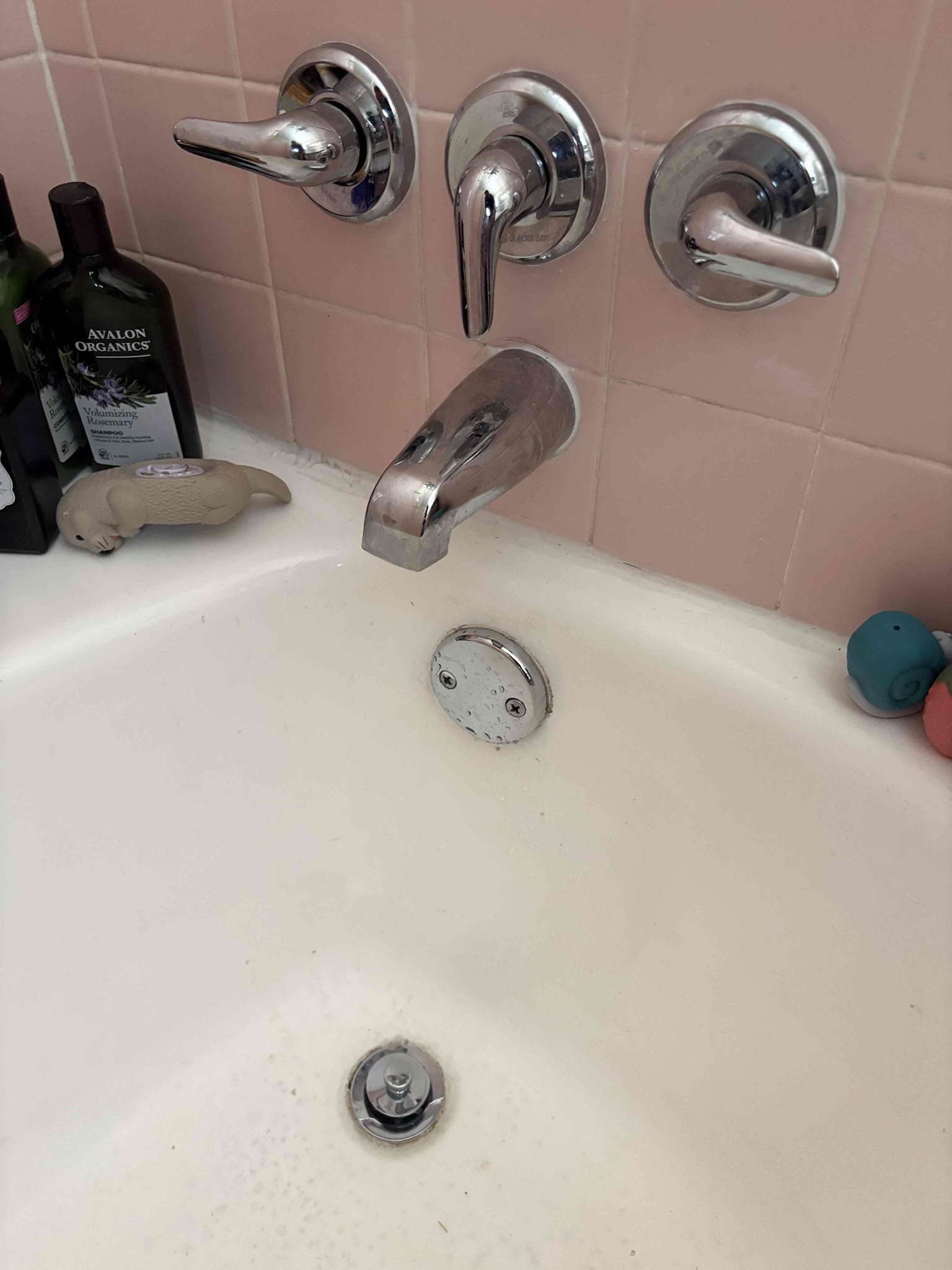 Remove old tub shower tub shoe and overflow plate that is currently not working properly and remove all old components. Install new tub shower lift and turn as well as new overflow plate. Test for proper operation 