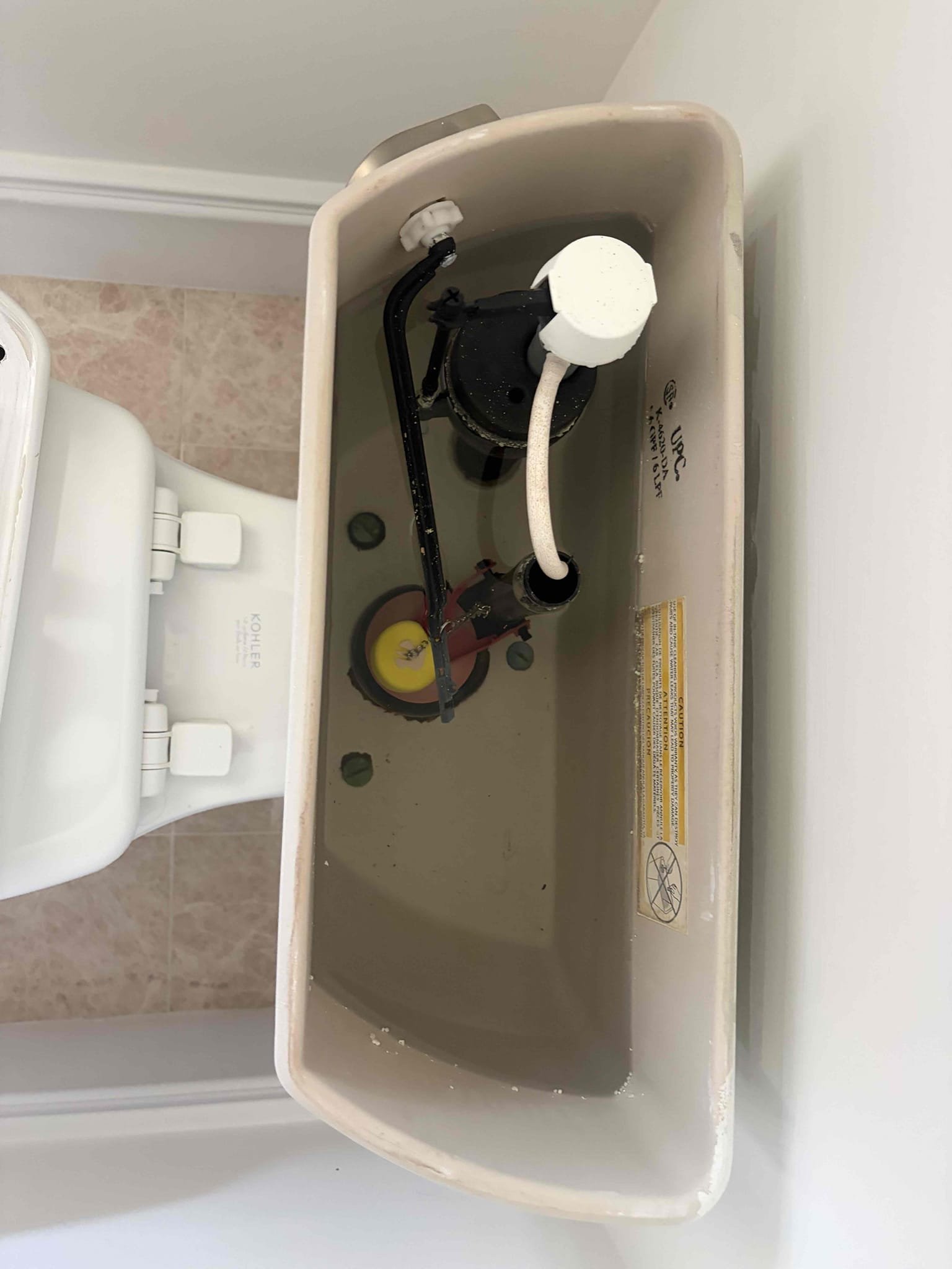 Toilet in the guest bathroom 
Rebuild of the entire toilet 
The back bolt on the toilet has a small drip to it.
