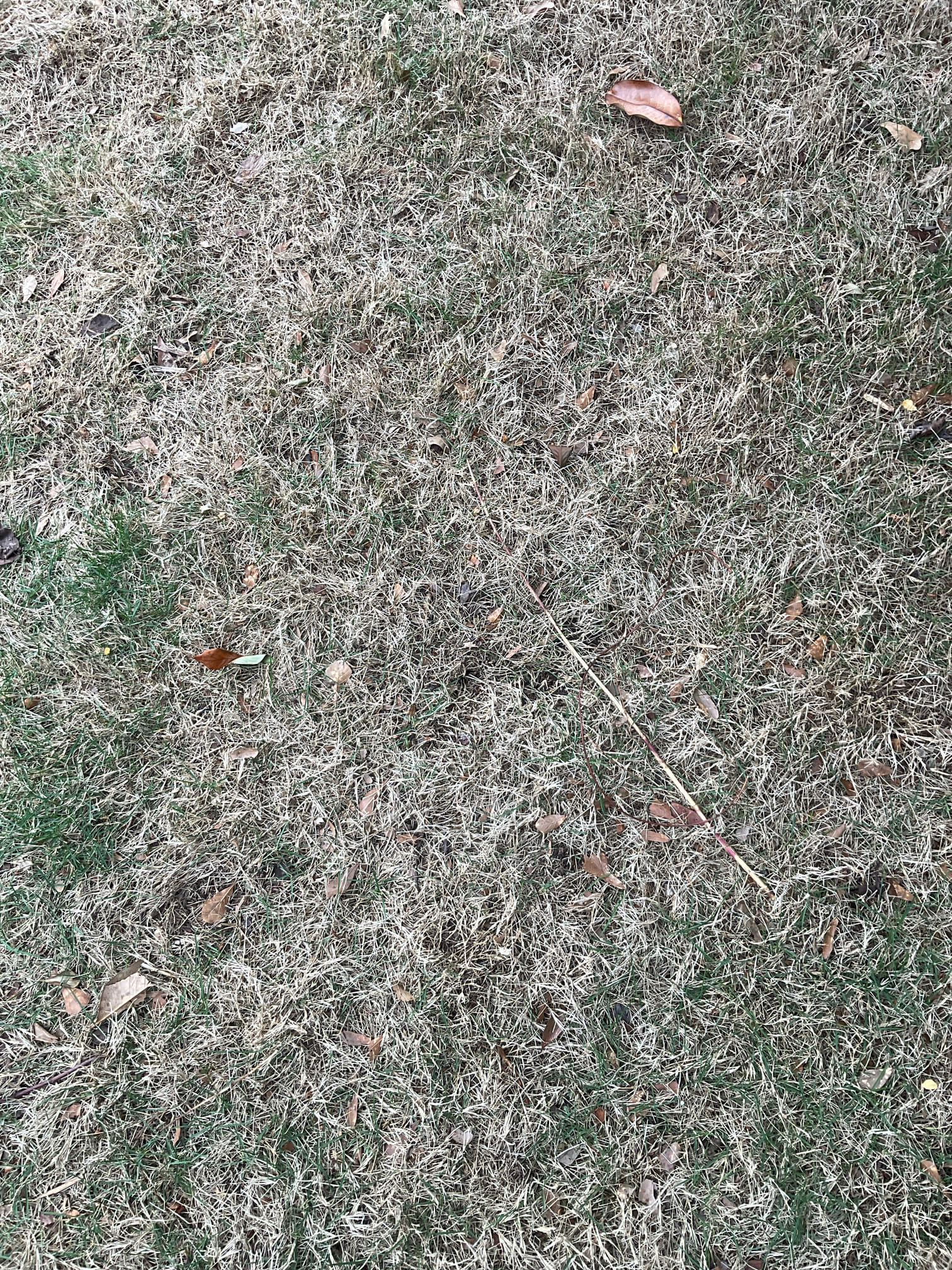 Quoted new water , sewer service line , full cast iron repipe and copper pipe leak repair 