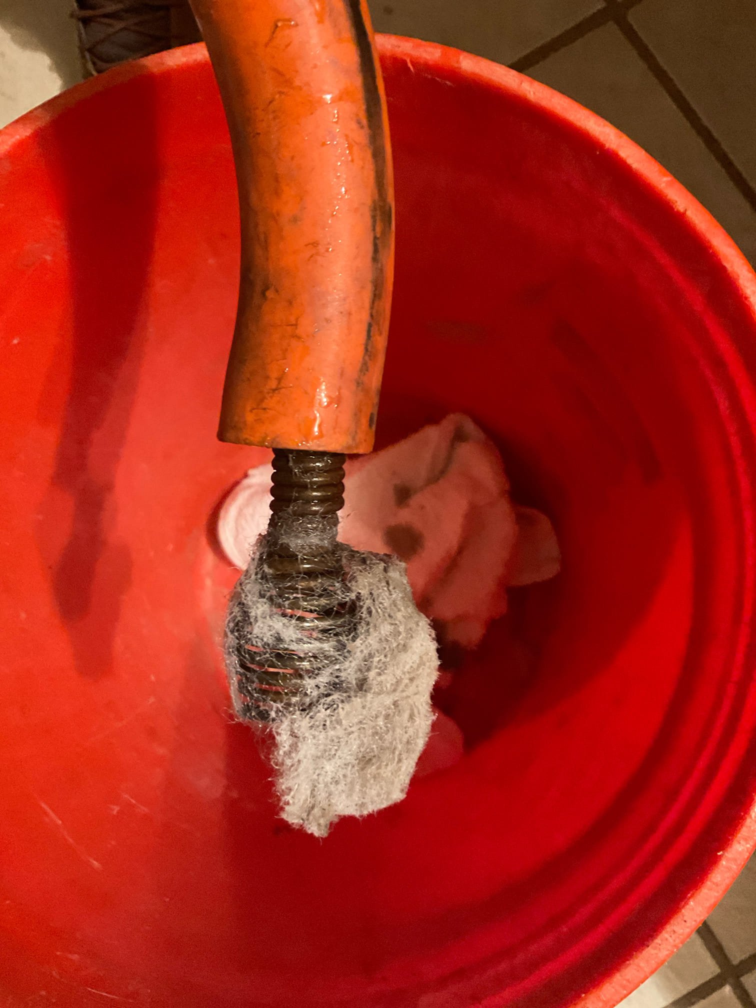 Auger snaked toilet , quoted water heater replacement and discussed and signed membership with customer today 