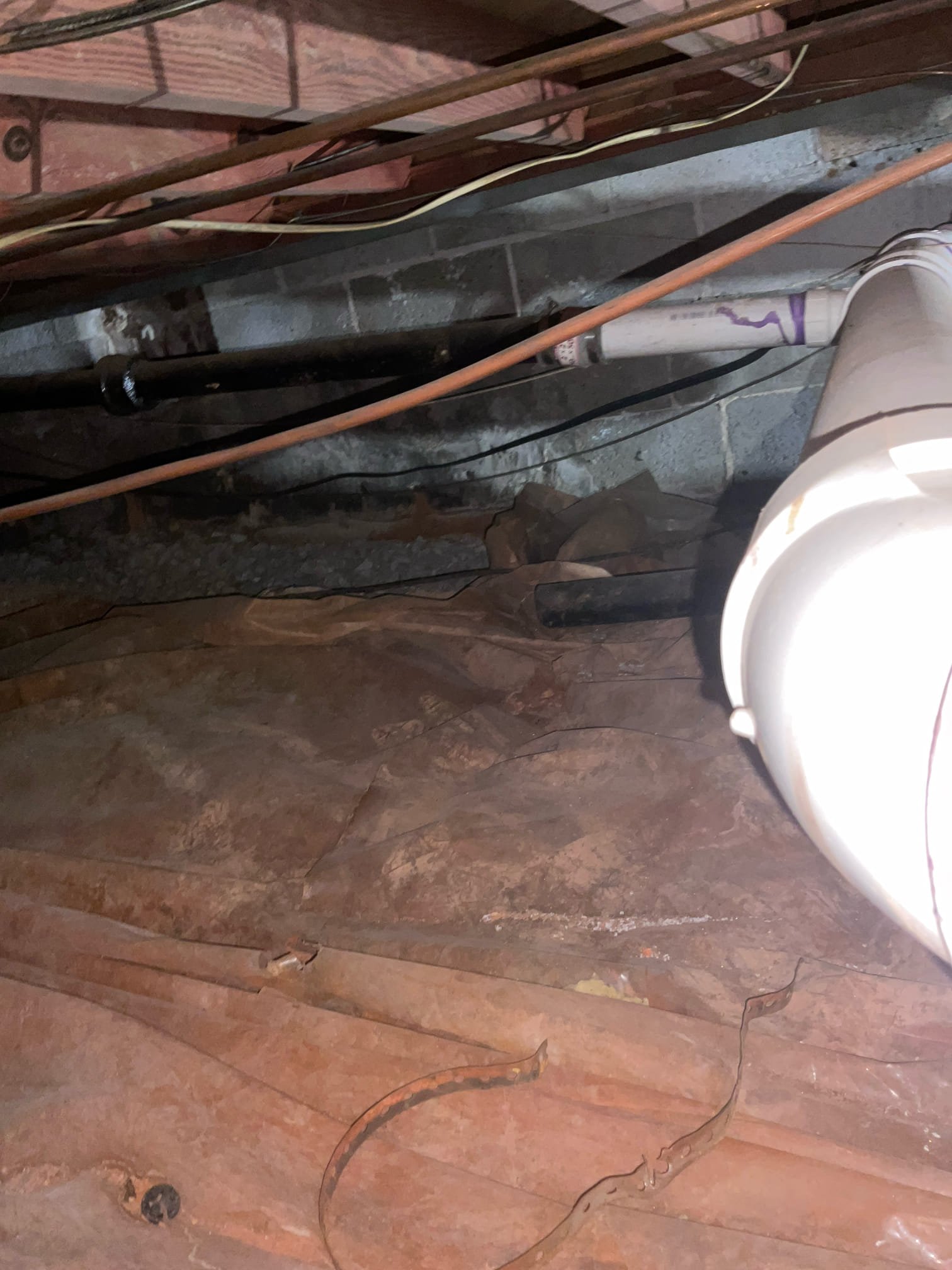 Replaced about 100 feet 2 , 3 , 4 inches mixed cast iron, abs and pvc pipe today , new pvc pipe thru kitchen floor , p trap and AAV installed under the kitchen sink 
2 years warranty 