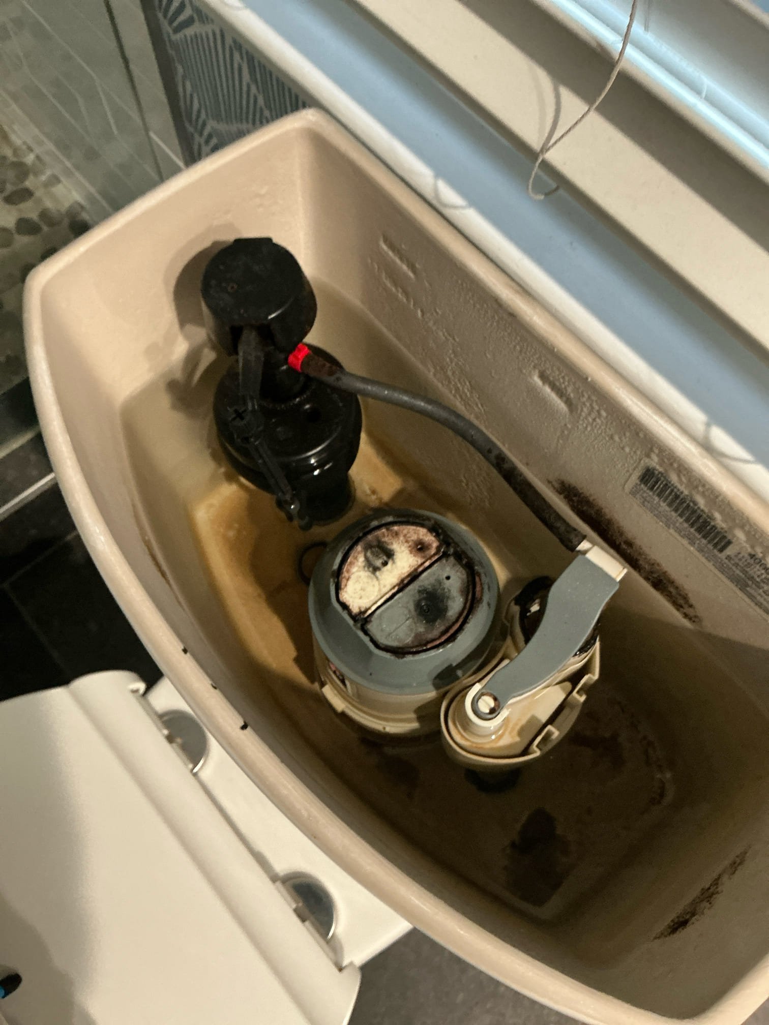 Performed win with Chen annual plumbing inspection. Upon inspection found no issues. Water heater is from 2025 and pressure is around 70 psi. Could not locate main shut off valve and pressure regulator suspect it is covered up in basement wall. Also left estimate to rebuild upstairs master bathroom toilet with new internal parts. Also advised customer once ready to replace pressure regulator we could add access panel and replace pressure regulator.