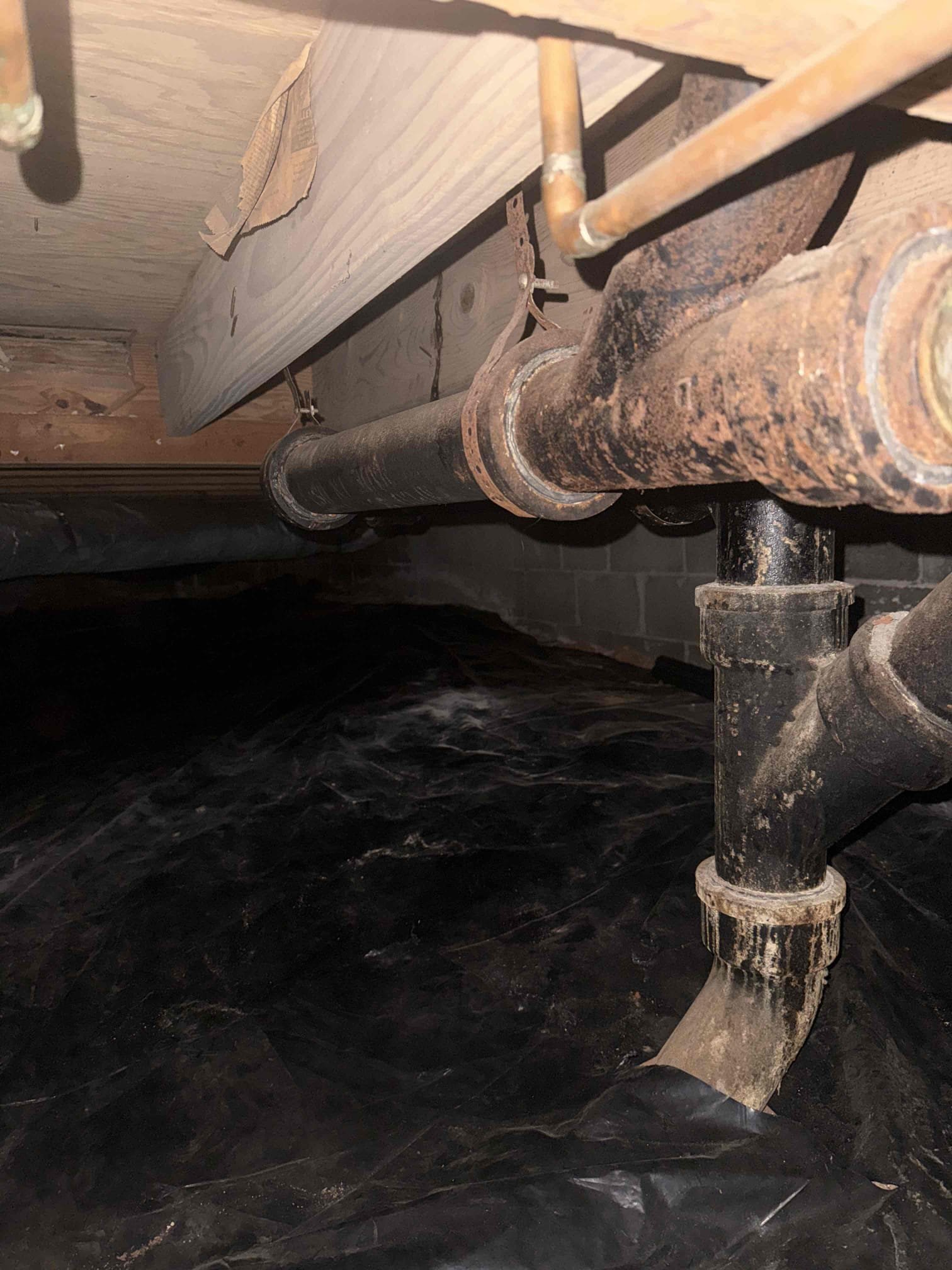 Customer wanting to get estimates on replacing cast iron in crawlspace, and replacing galvanized water service so he can incapsulate the crawlspace. Left customer estimates to replace all the horizontal runs of cast iron in the crawlspace as well as adding a clean out for the sewer line outside of the crawl space. Also left estimates to get rid of galvanized water service and replacing with pex. 