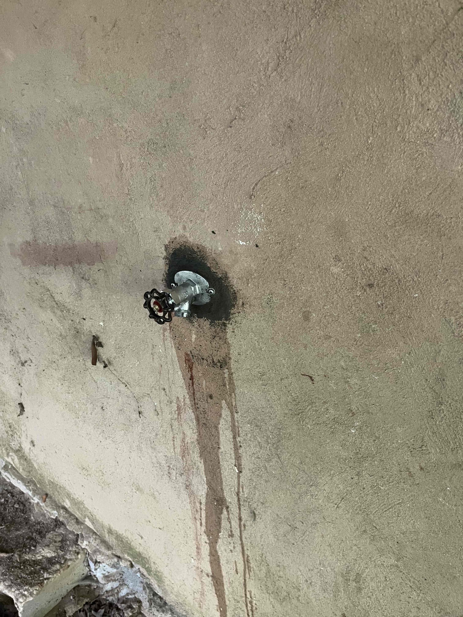 Inspector failed the plumbing inspection because the customer is required to have hammer arrestees on the washing machine box, and three frost proof hose bibs in the home. Gave customer price to replace the two existing hose bibs with frost proof hose bibs and install a new frost proof hose hose bib on the side of the house. Will have to cut drywall to access plumbing. Chen Plumbing isn’t responsible for repairs to drywall. Replaced the shutoffs for the washing machine box as a courtesy since that was touched in our original visit. Tested all work to ensure proper function and no leaks. Texted photos to Tim Chen to forward to inspector. Inspector will not have to make another in person visit to the home for plumbing. Installed studor vent in open wall with rear access so no box is needed for the vent with the test cap. Drained water in system, removed test plug, and installed a new cleanout cap. 