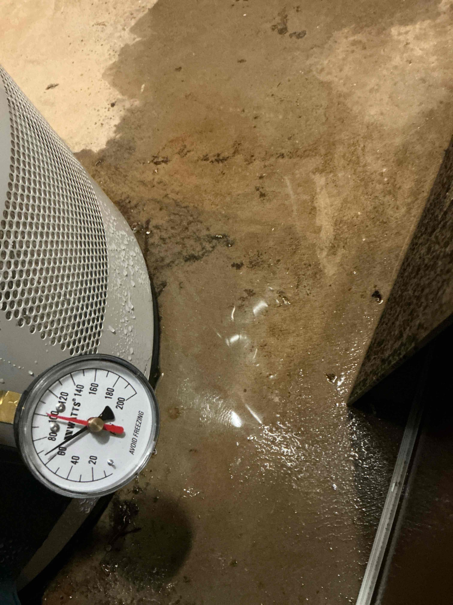 Camera sewer service from clean out to tap found multiple areas of root intrusion. Also found t&p valve leaking on 16 year old water heater. Recommend replacing sewer service and water heater in basement.