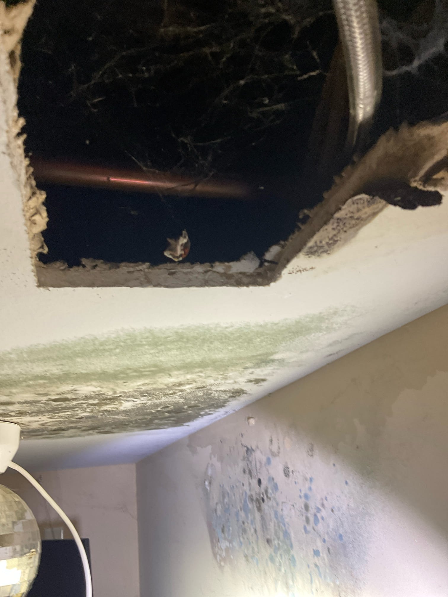 Today we fixed refrigerator supply line leak with new water line and braided stainless steel hose 