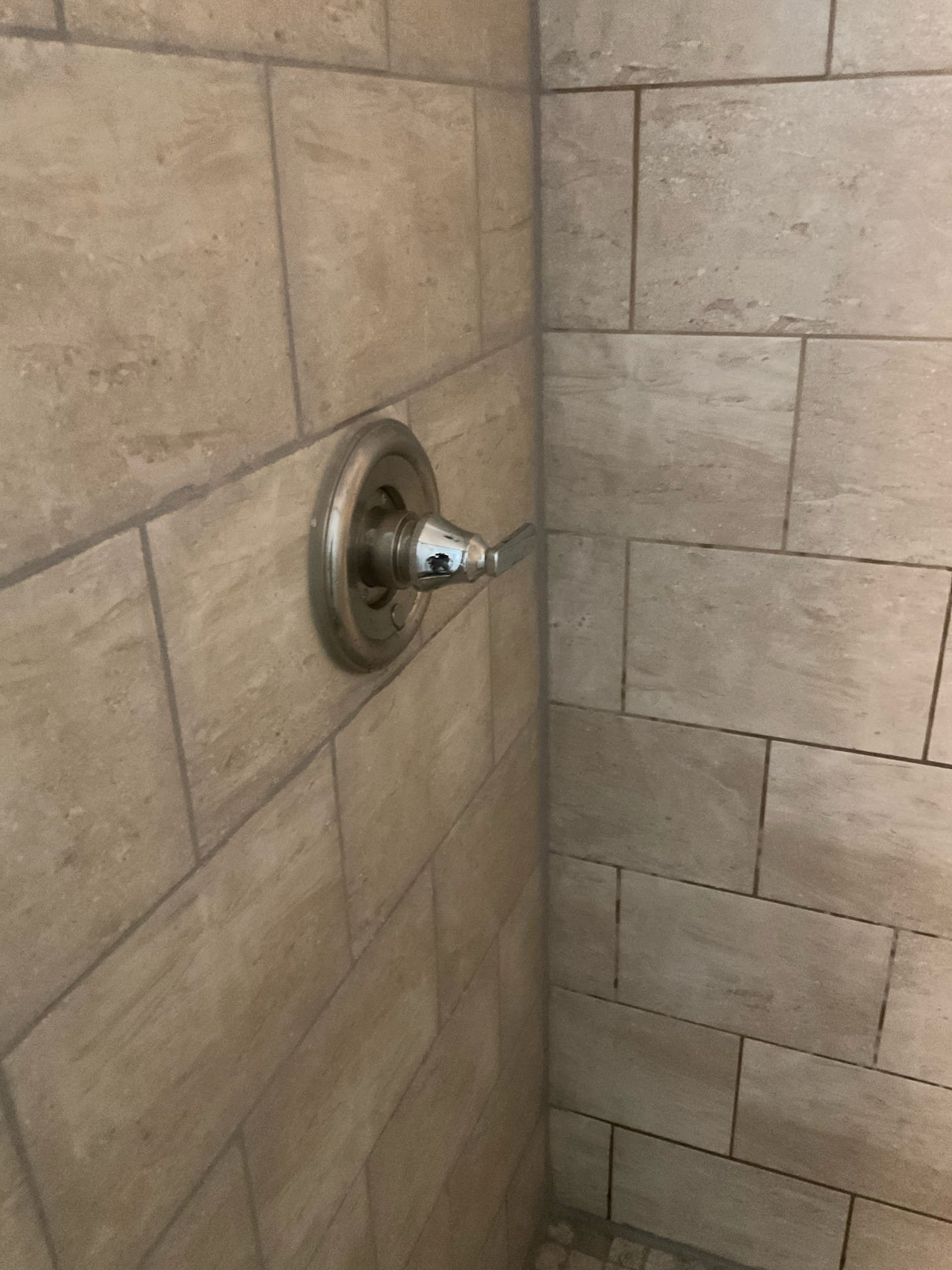 Replaced two delta shower cartridge , one blue , one gray 