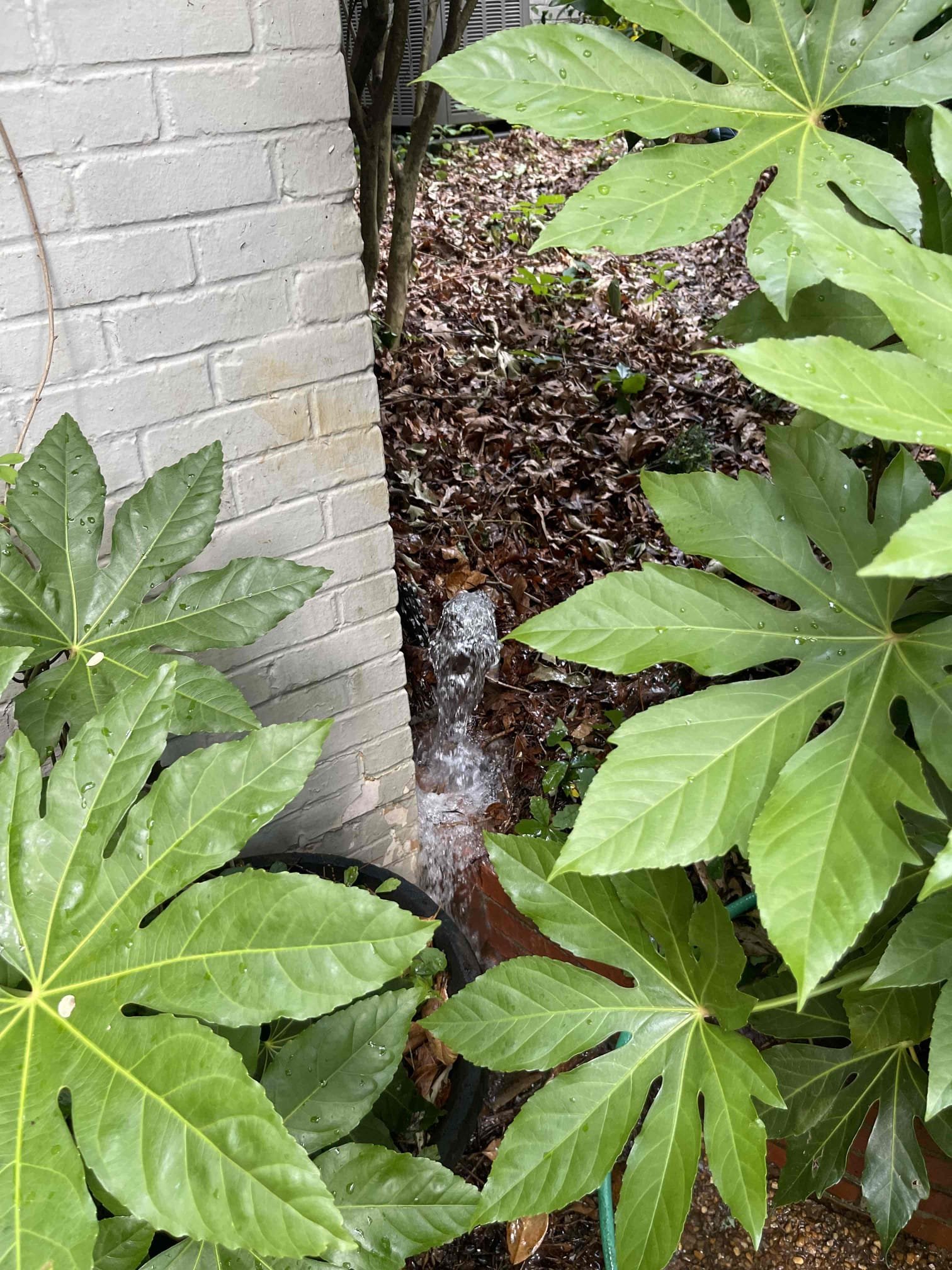 Homeowner had a 1” pvc pipe coming up out of the ground with a hose bib on it. The pipe snapped off and was flooding outside when I arrived. Gave multiple options to repair it and customer elected to just cap off the pipe. Allowed adequate time for glue to cure before testing. Confirmed no leaks on repair and buried the pipe. No further issue at this time. Meter was having problems with not registering any flow. We notified the homeowner and recommended she have the county come out to repair/replace the meter.