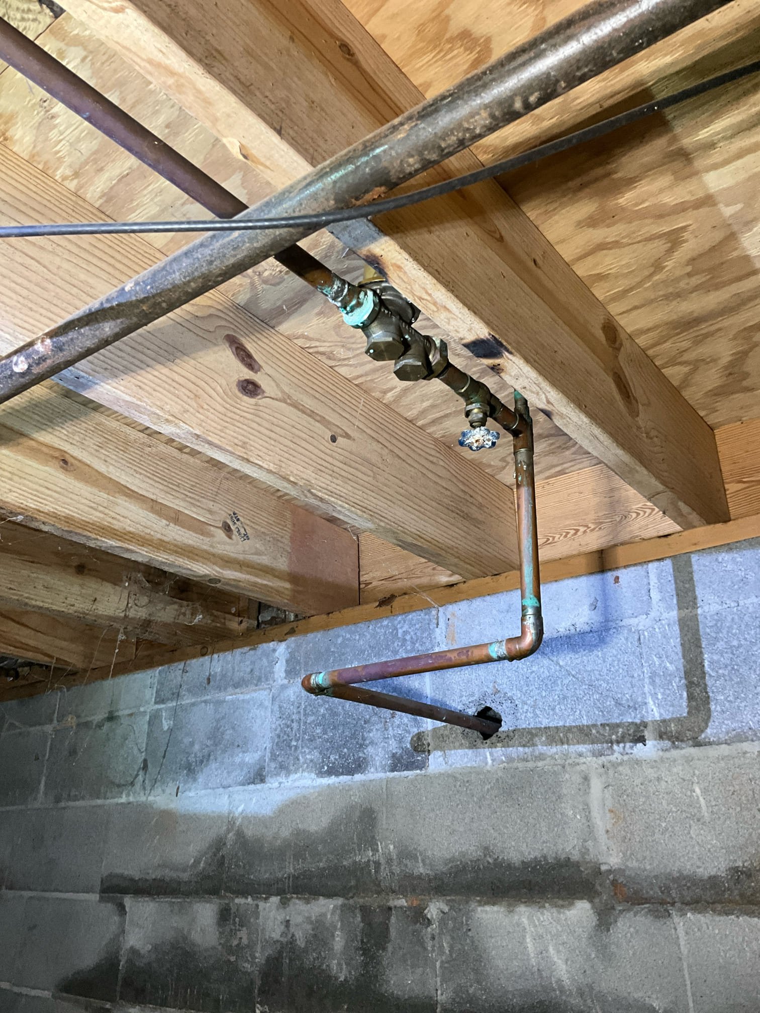 Call for sewer backup.

Checked out bathroom and found that the backup has been resolved. I recommend replacing hallway bathroom toilet.