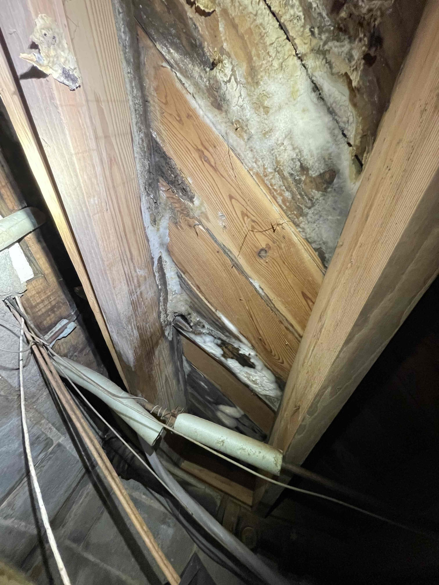 Did thorough inspection of the drain line in the basement. They have two separate issues going on. Above the slabs the kitchen line was having problems. We found the washing machine line was corroded through in the cast iron, and the kitchen sink has two separate sinks. Customer had the kitchen remodeled 10 years ago. Other company connected one sink to the pvc drain, but did not ever connect the other sink so it has been dumping into the crawlspace for a long time. We left quote to replace all the drain piping to the kitchen and laundry and reconnect back into off before the piping dives into the ground. Customer had a bathroom added in the basement. Multiple illegal fittings were used that I was able to visually identify from the crawlspace side. We left a quote to run a camera and check out the cast iron that is remaining under the slab. Their water heater was from 2008. It’s in a tight closet to replace it. We left a quote to replace the water heater since it’s 18 years old at this