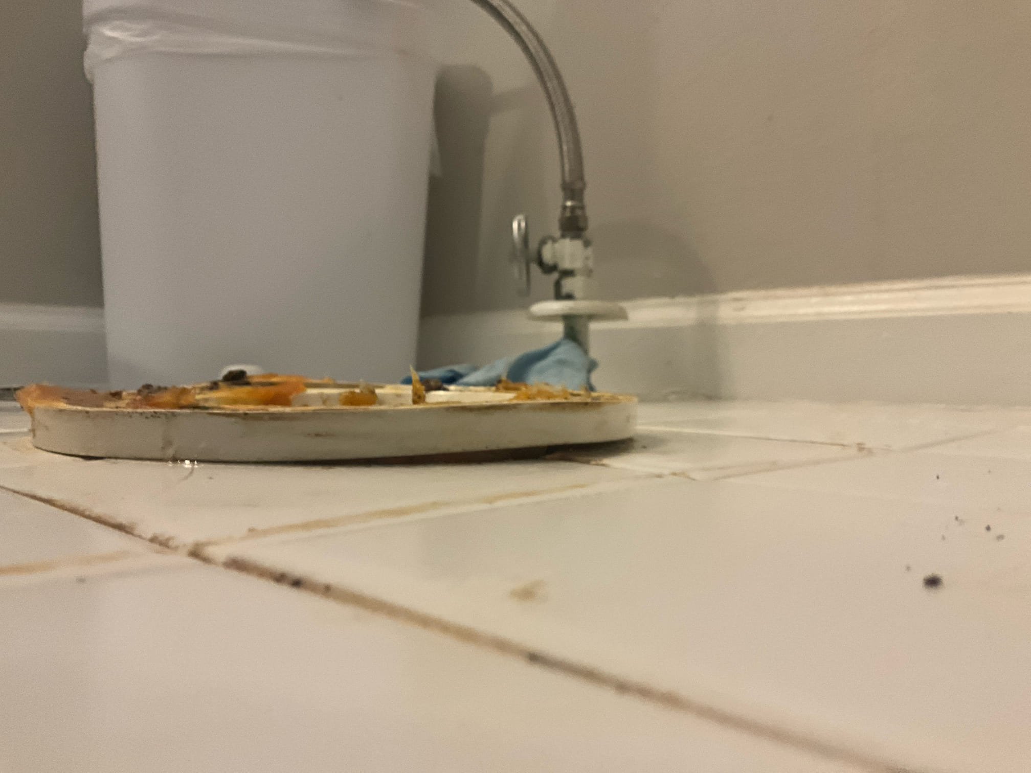 Installed customer supplied, one piece toilet in upstairs child’s bathroom. Checked flange condition and saw no obvious cracks. Flange was also at the correct level. Installed the new toilet and tested all work to ensure proper function and no leaks. None were found. 