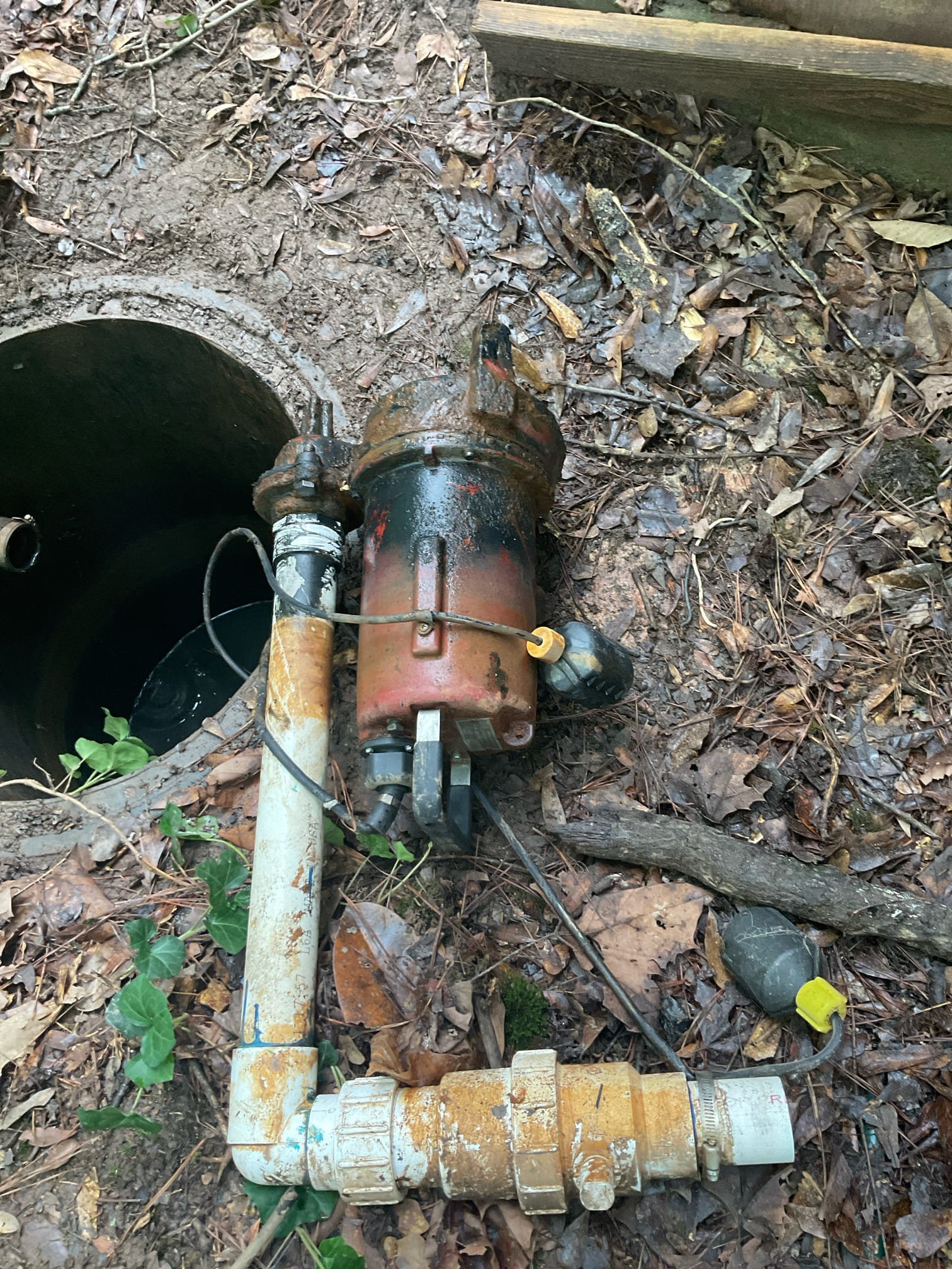 Quoted pump replacement, Dawson will come do it tomorrow 