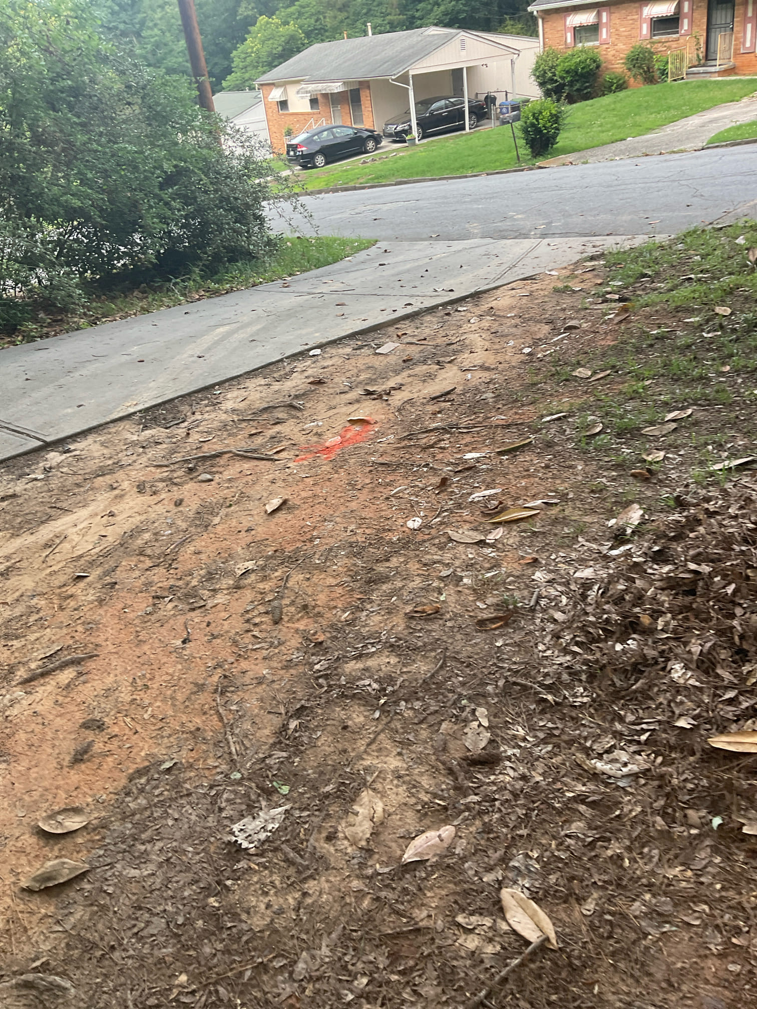 Attempting to clear the main line clog from clean out outside , but could not clear because the problem with line need to replace section of it , locate the problem in the yard marked with paint , quoted repair as well 