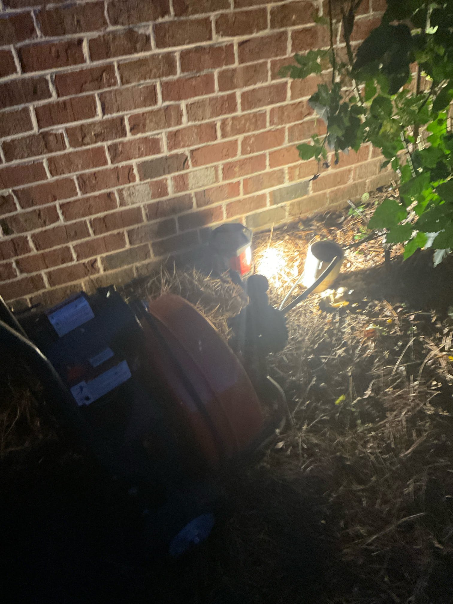 Cleared main line blockage with big cable machine from clean out in the front of home , did camera inspection after , found line has large section with belly and possibly with some roots problem , clogged with lots wipe . No warranty 