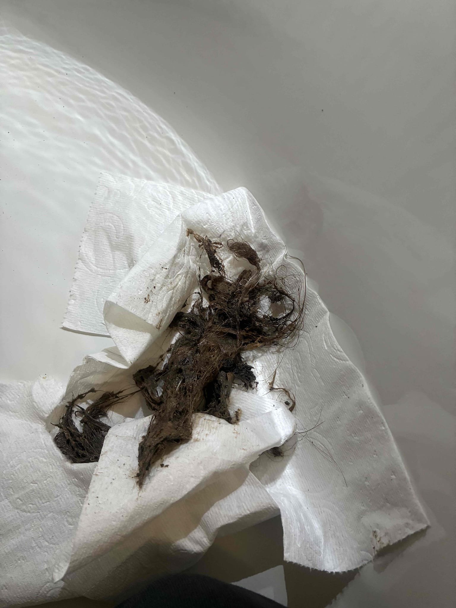 Customer has very small bugs different than “sewer flies“ within bathroom areas. As process of elimination. Ran hand machine in daughter’s tub shower, master tub, and master shower to help assist with the bug removal. Well drain cleaning pulled large amounts of hair out of both tub drains. Put drains all back together and checked for proper drainage function. Customer is going to continue with other methods of bug removal. 