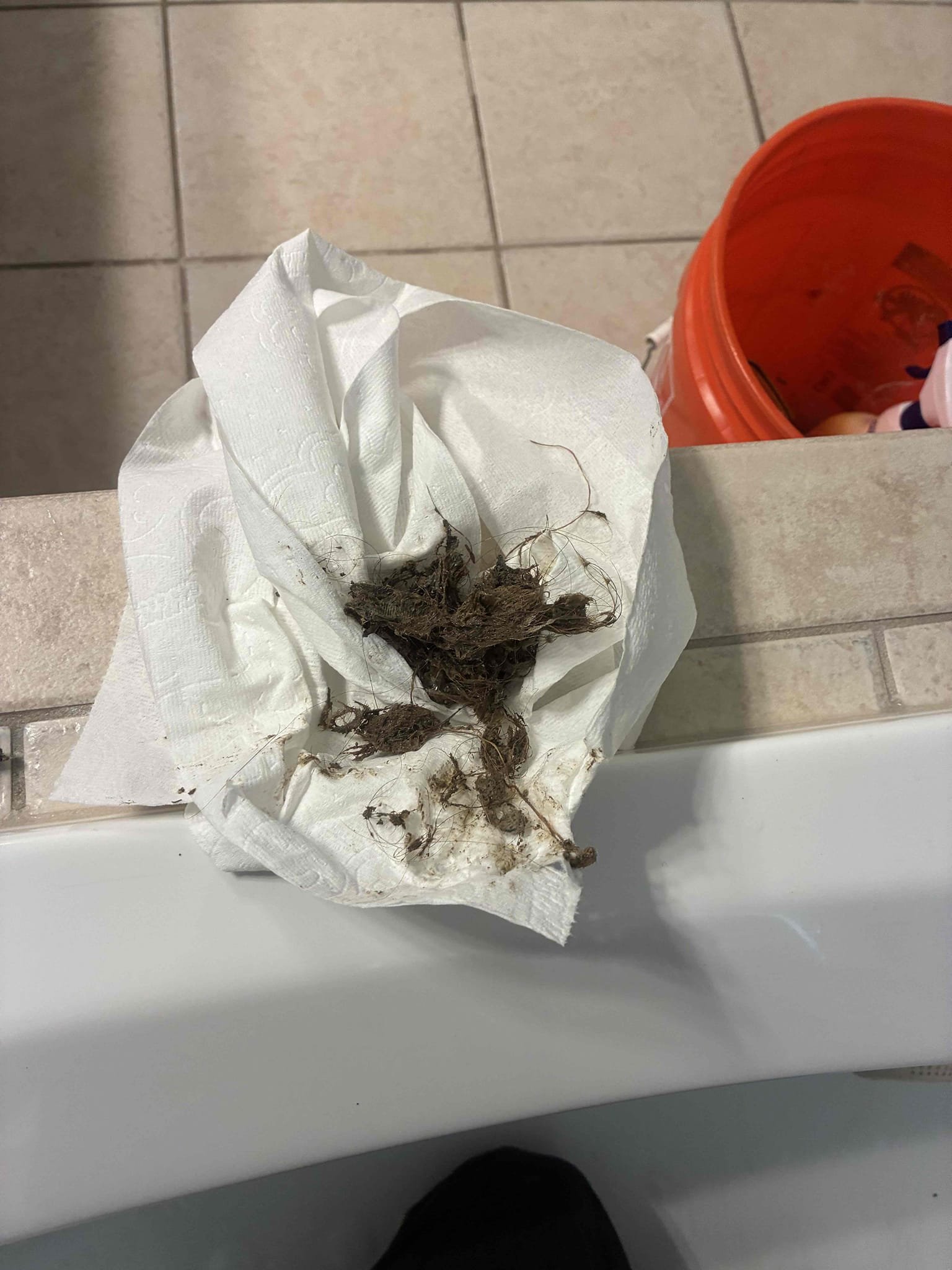 Customer has very small bugs different than “sewer flies“ within bathroom areas. As process of elimination. Ran hand machine in daughter’s tub shower, master tub, and master shower to help assist with the bug removal. Well drain cleaning pulled large amounts of hair out of both tub drains. Put drains all back together and checked for proper drainage function. Customer is going to continue with other methods of bug removal. 