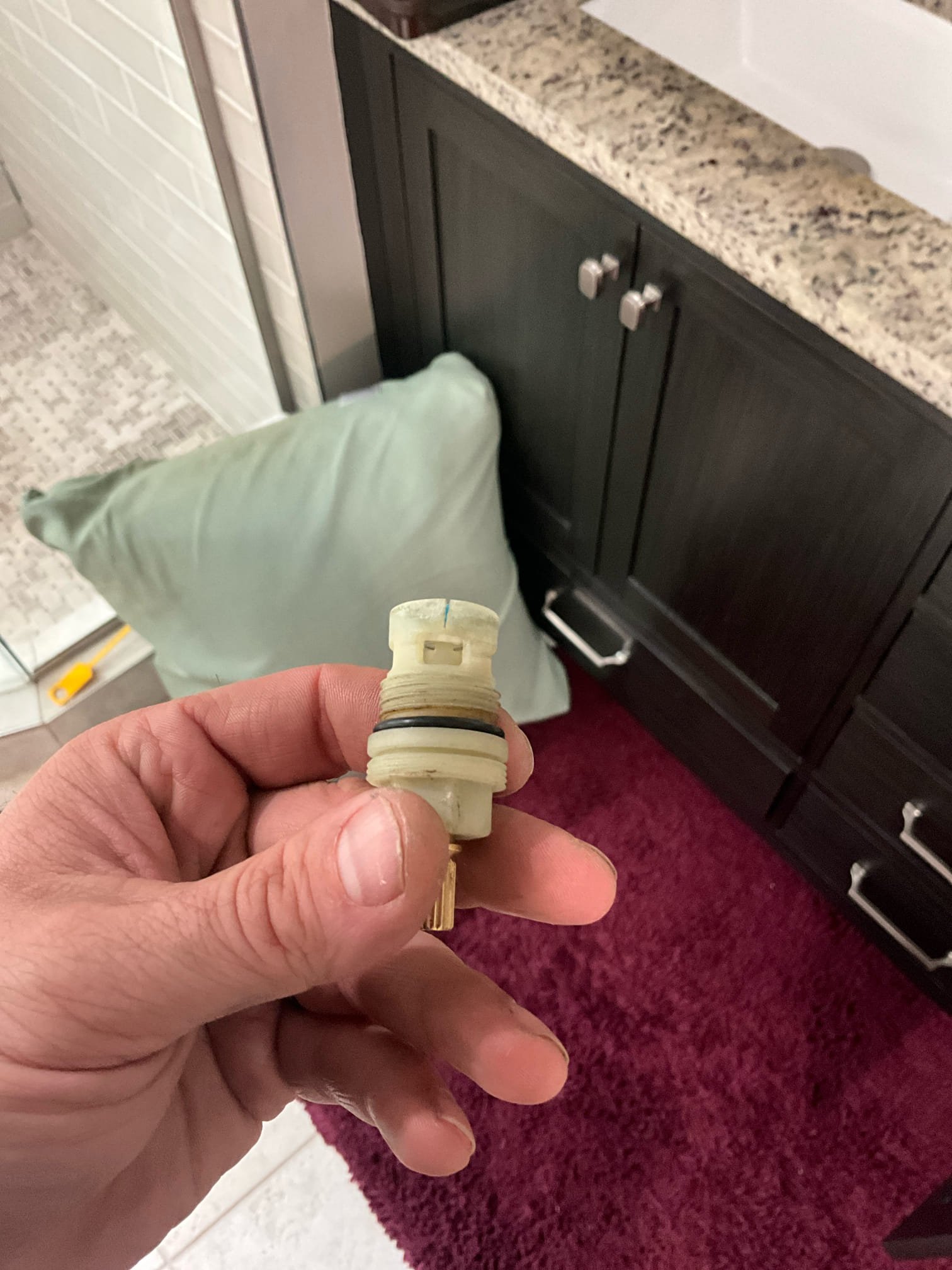 Customer had a toilet that flushes poorly, a tub that drains slowly, and a faucet that drips and doesn’t shut off properly. Will return tomorrow to replace the toilet, both faucets with customer provided faucets, and snake the shower drain.

Returned and installed a new American Standard Champion toilet with two customer supplied faucets and snaked the shower drain. Tested all work to ensure proper function and no leaks. The right hand faucet had a leak on the pop up assembly, neither new faucet had a working pop up, and the hot stem on the right hand faucet was leaking. Corrected the popups and the drain leak. Had customer purchase another faucet and swapped out the hot valve on the right hand sink. Tested work again to ensure proper function and no leaks. None were found.